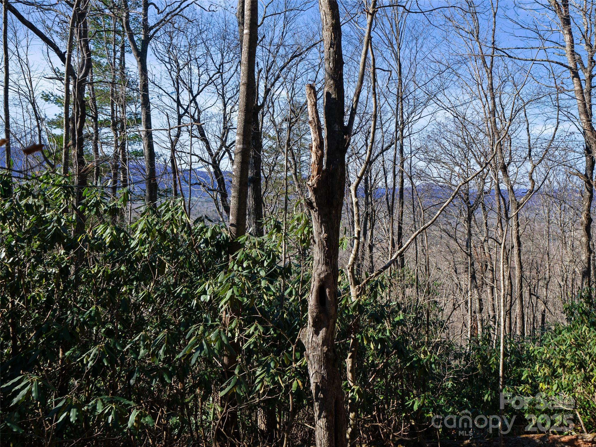 Lot #7 Queens Way Property Photo 7