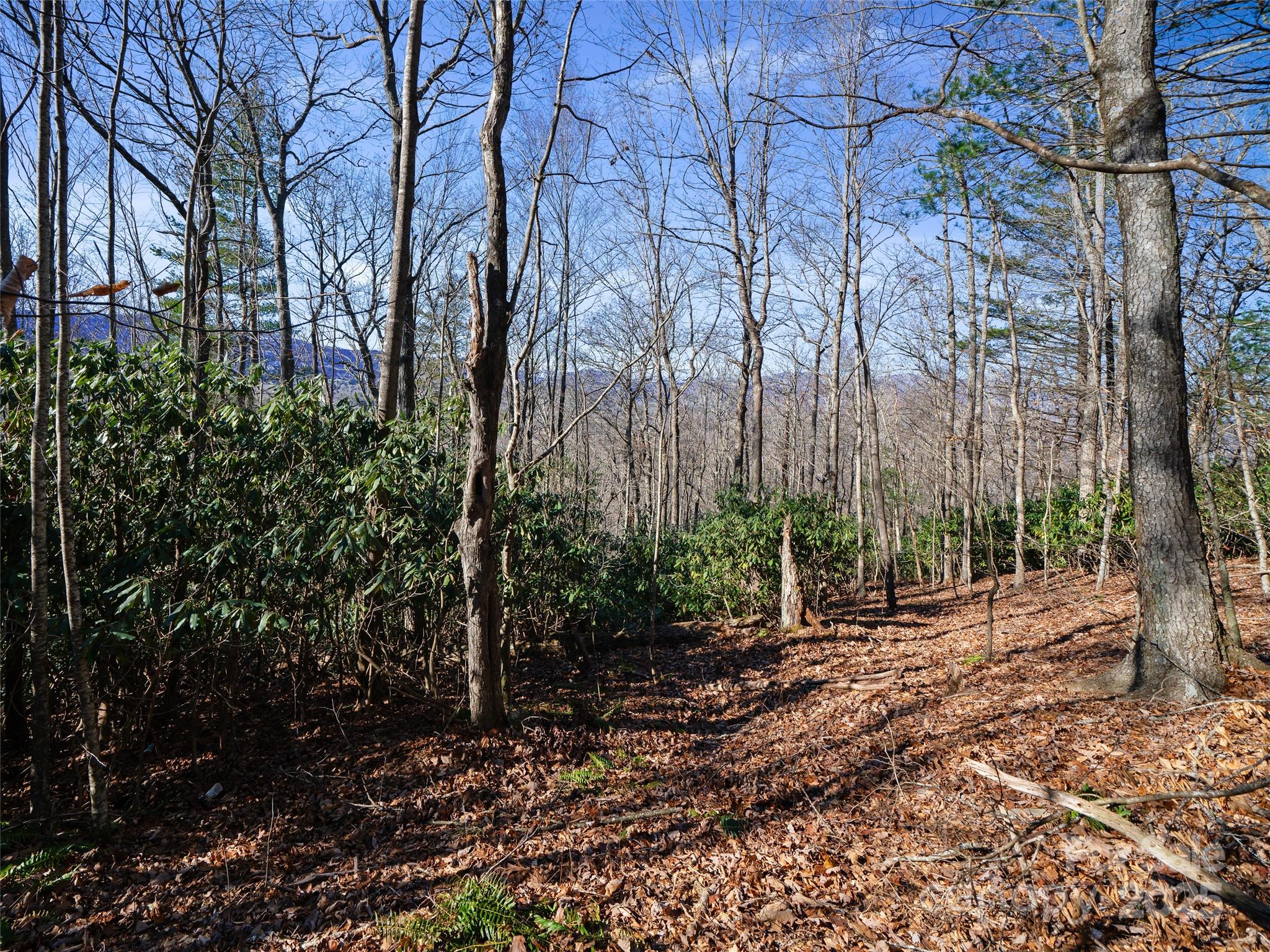 Lot #7 Queens Way Property Photo 8