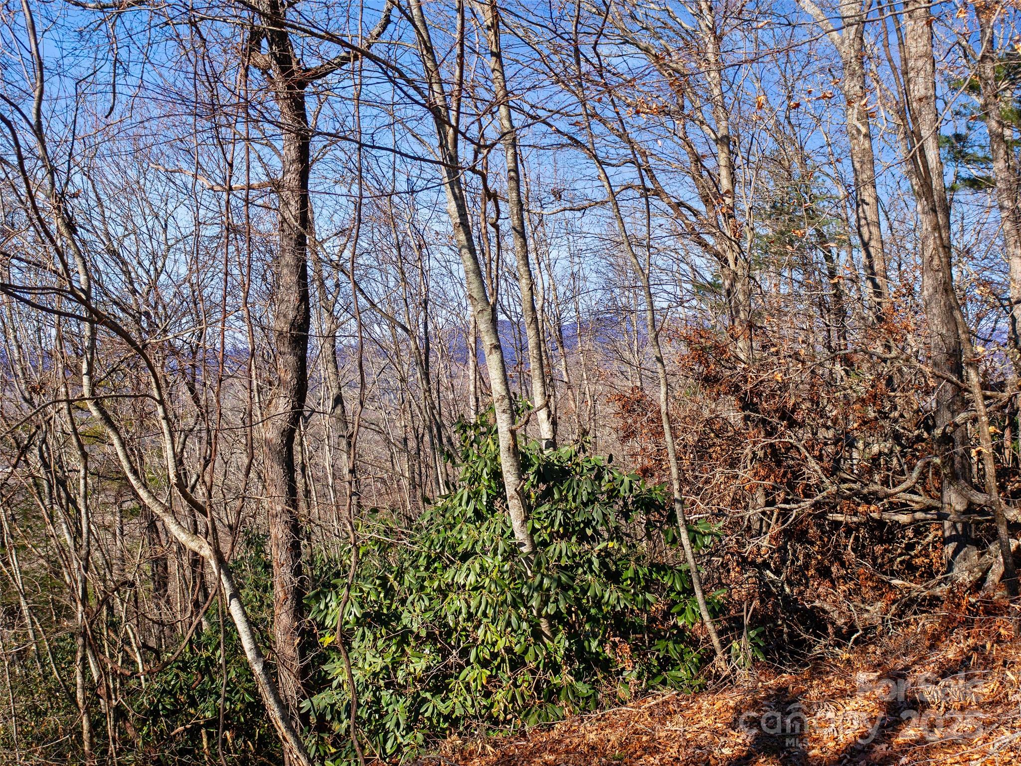 Lot #7 Queens Way Property Photo 17