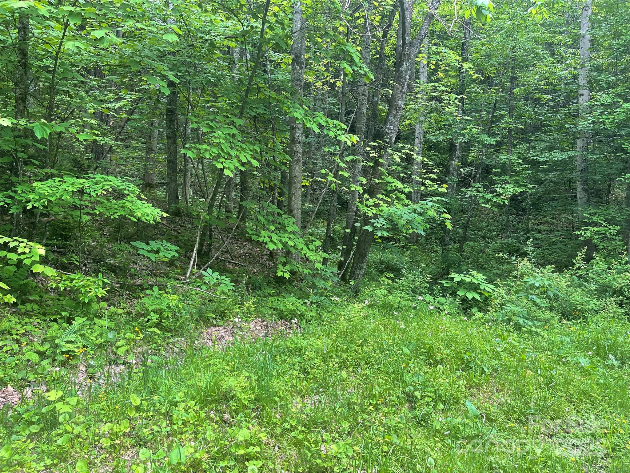 34 Buckeye Creek Road Property Photo