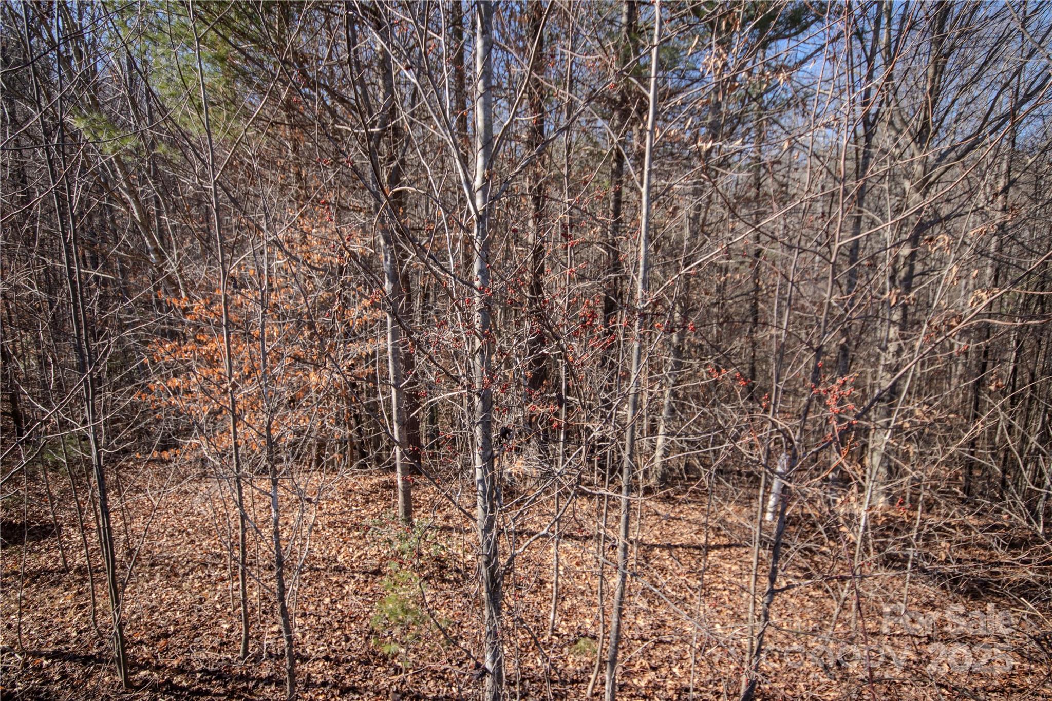 742 Chatsworth Circle 19 Property Photo 3