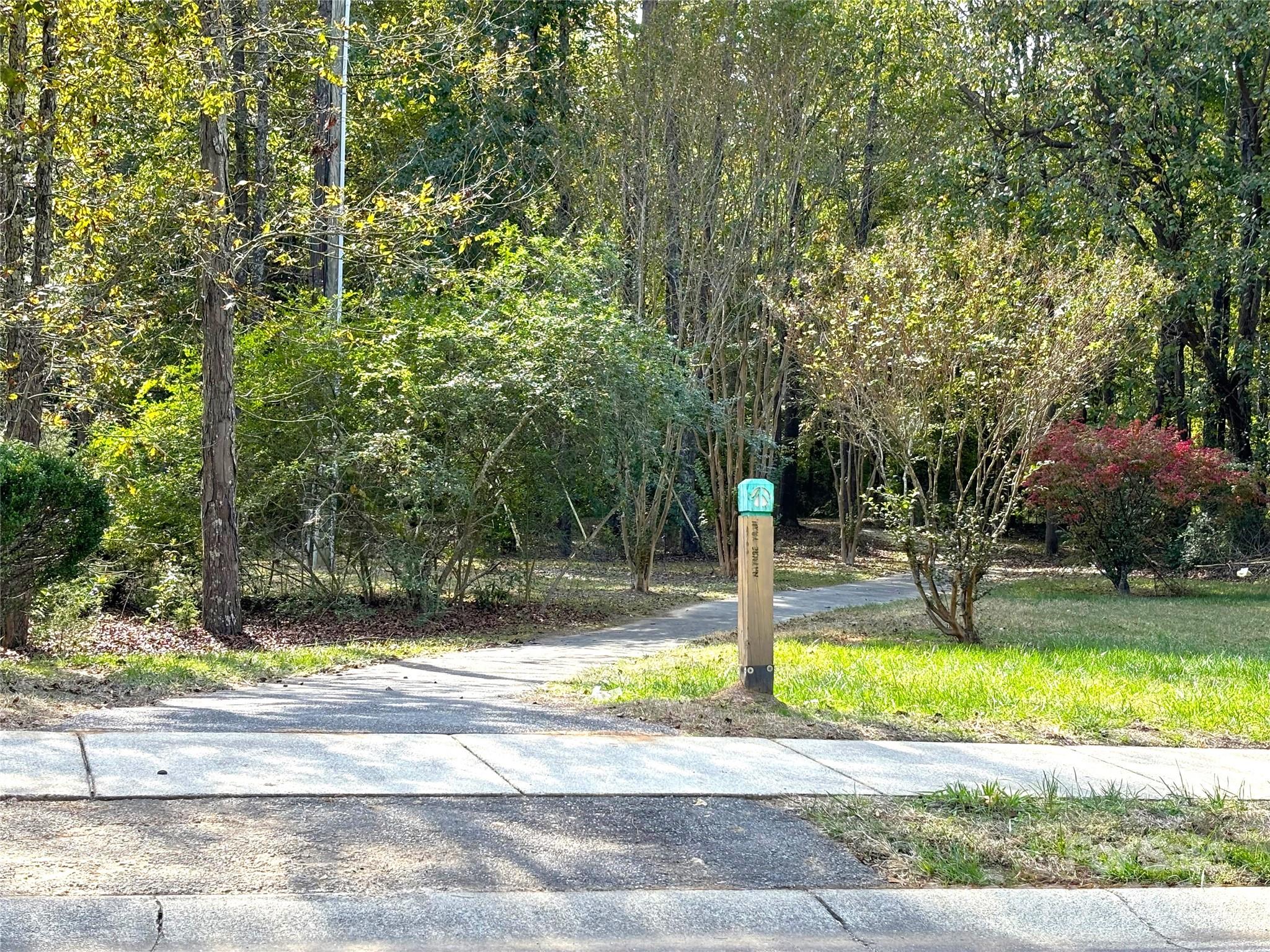4316 Canewood Lane Property Photo 46