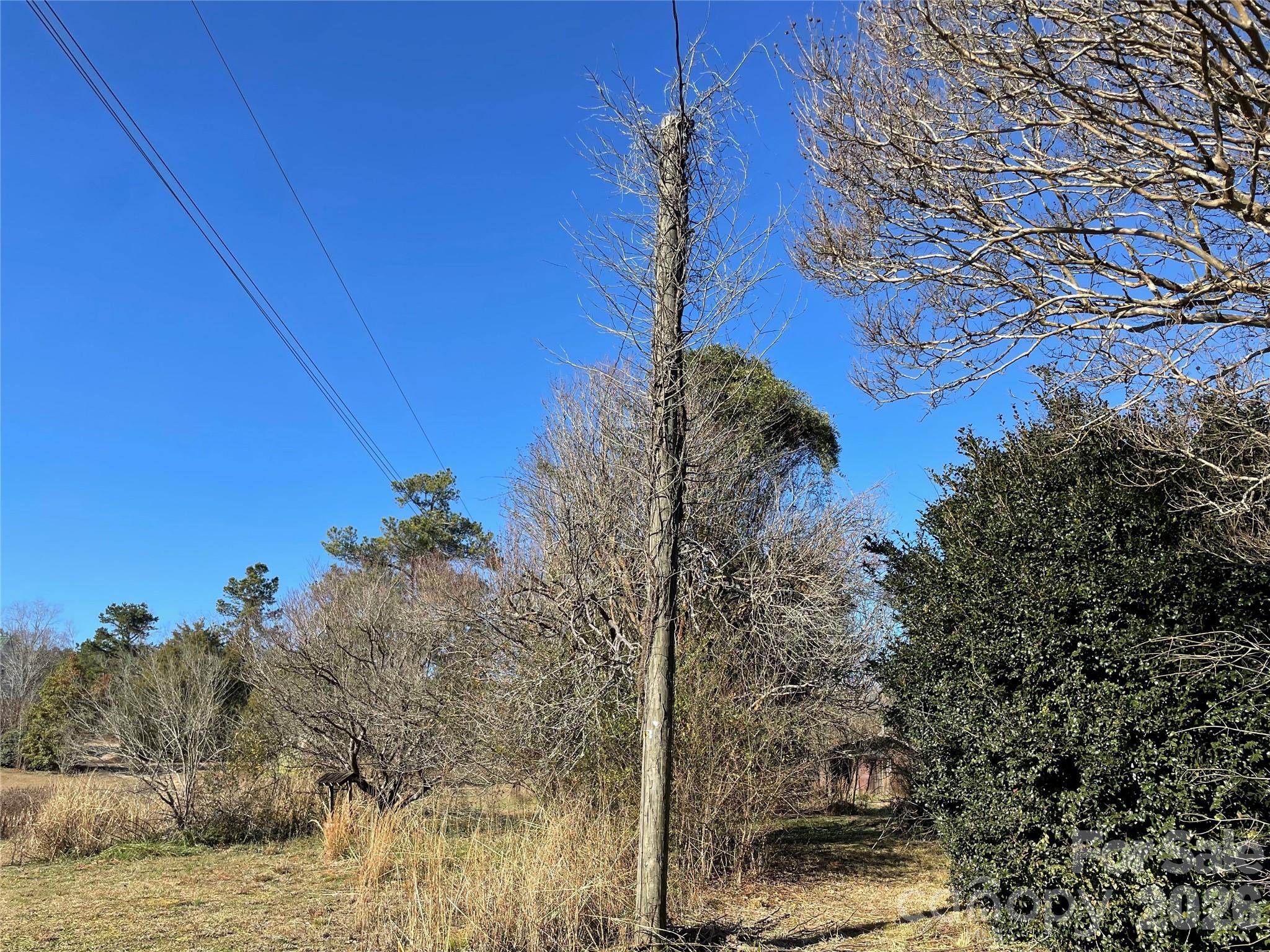 32 Tell Davidson Road Property Photo 18