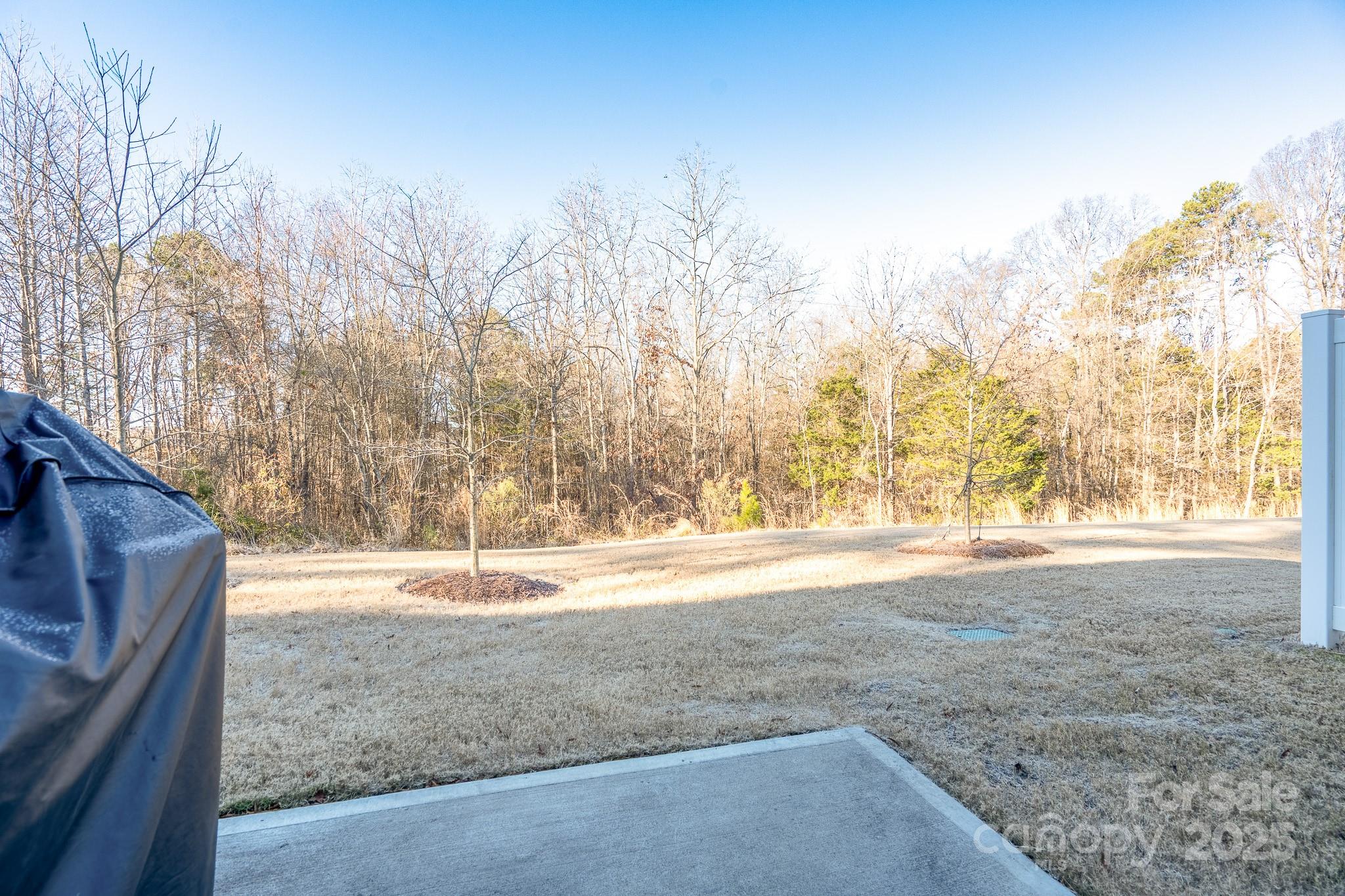 18106 Pear Hawthorne Drive Property Photo 29