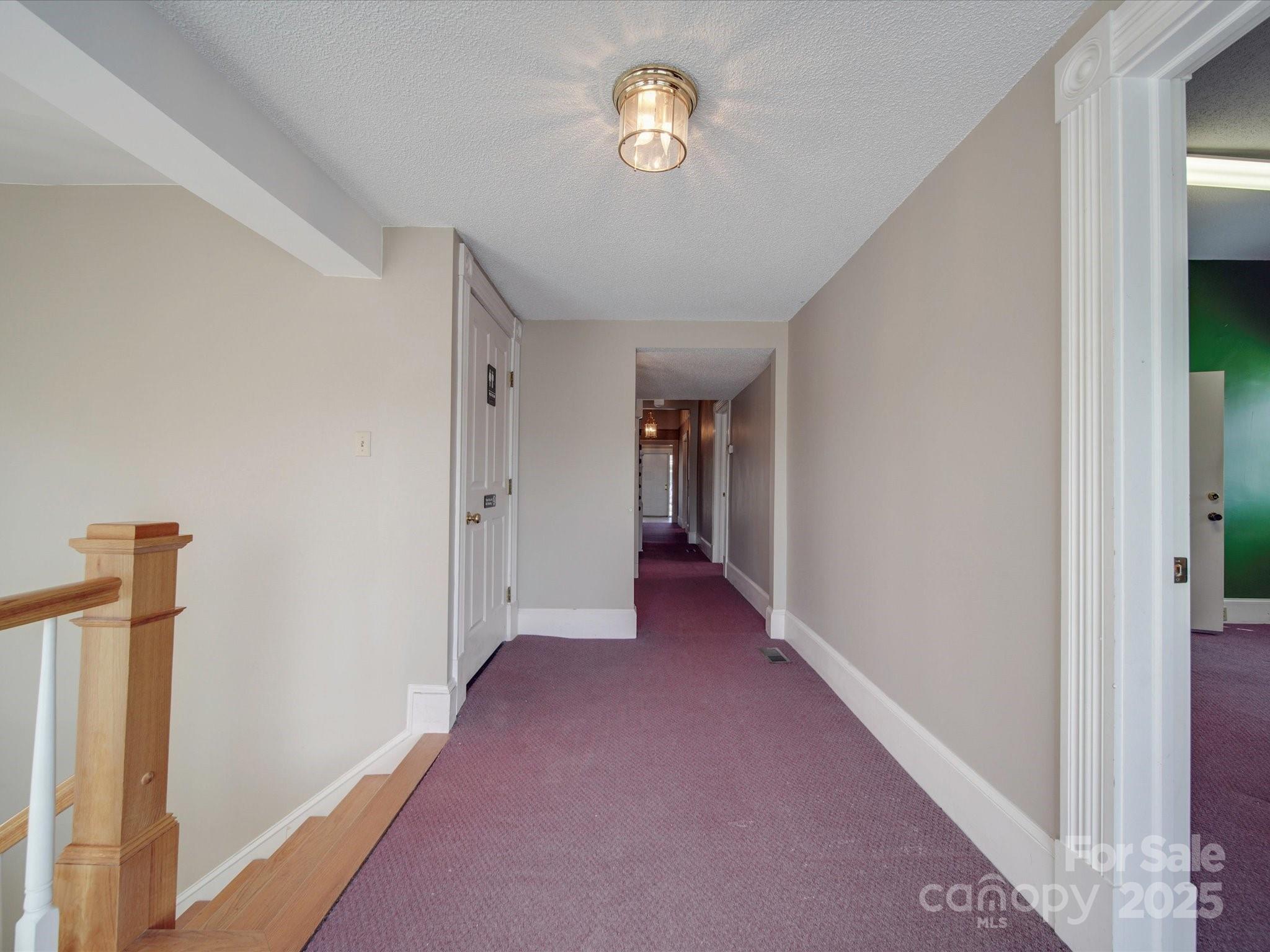 233 Davie Avenue Property Photo 37