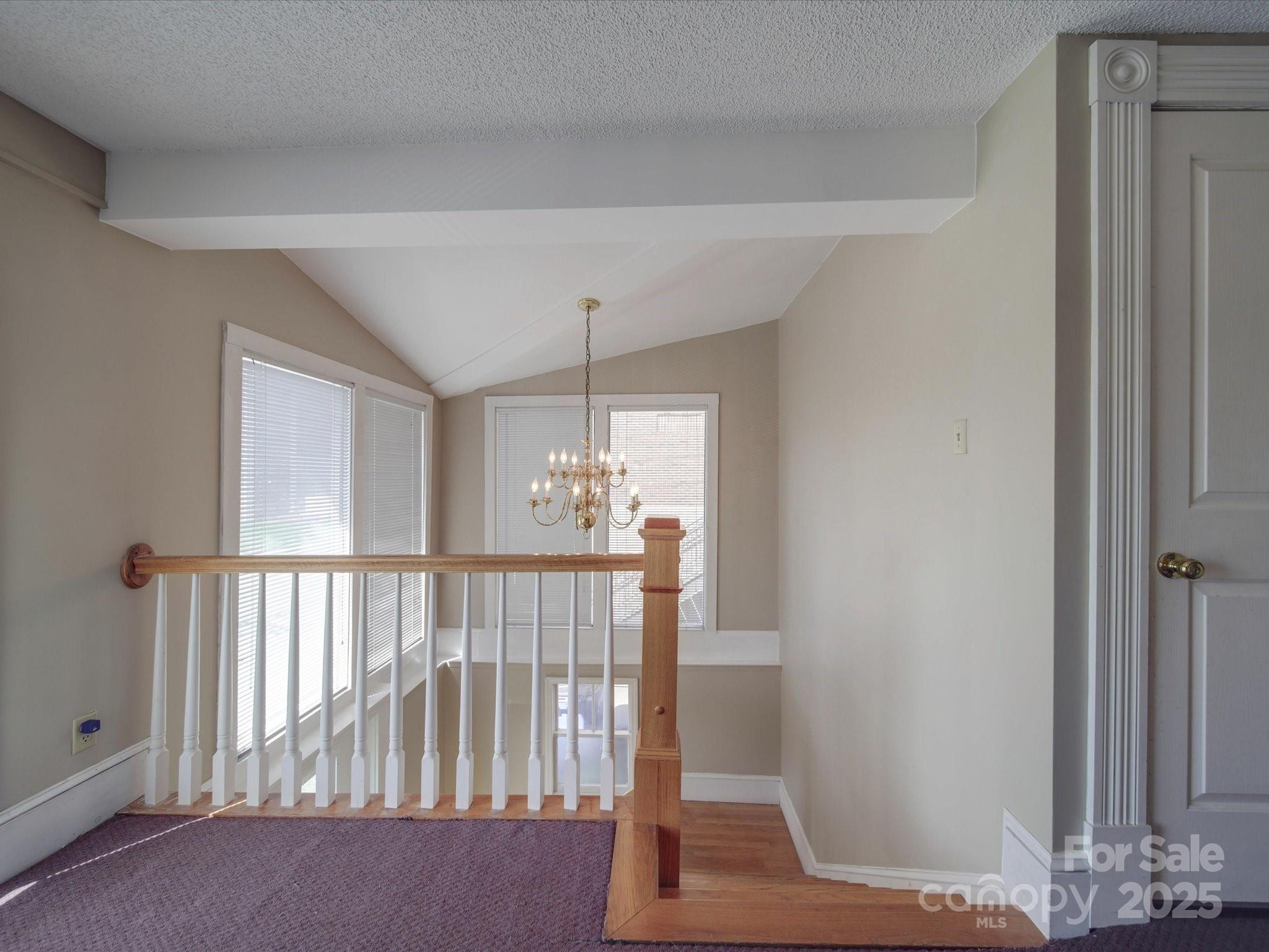 233 Davie Avenue Property Photo 39