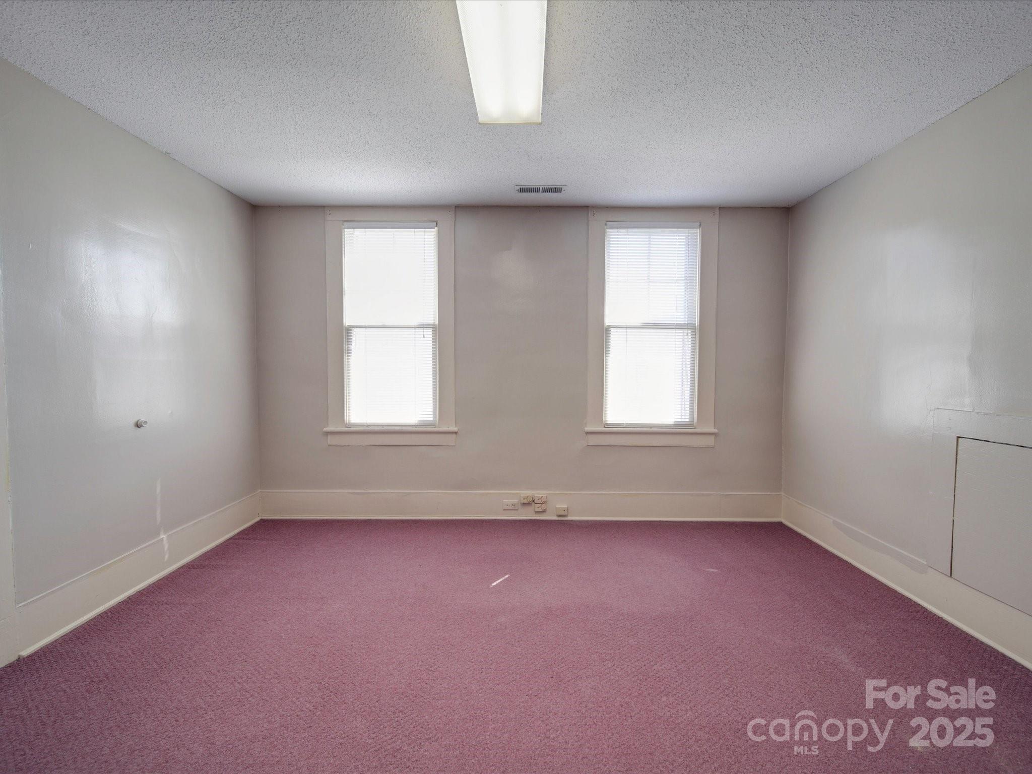 233 Davie Avenue Property Photo 43