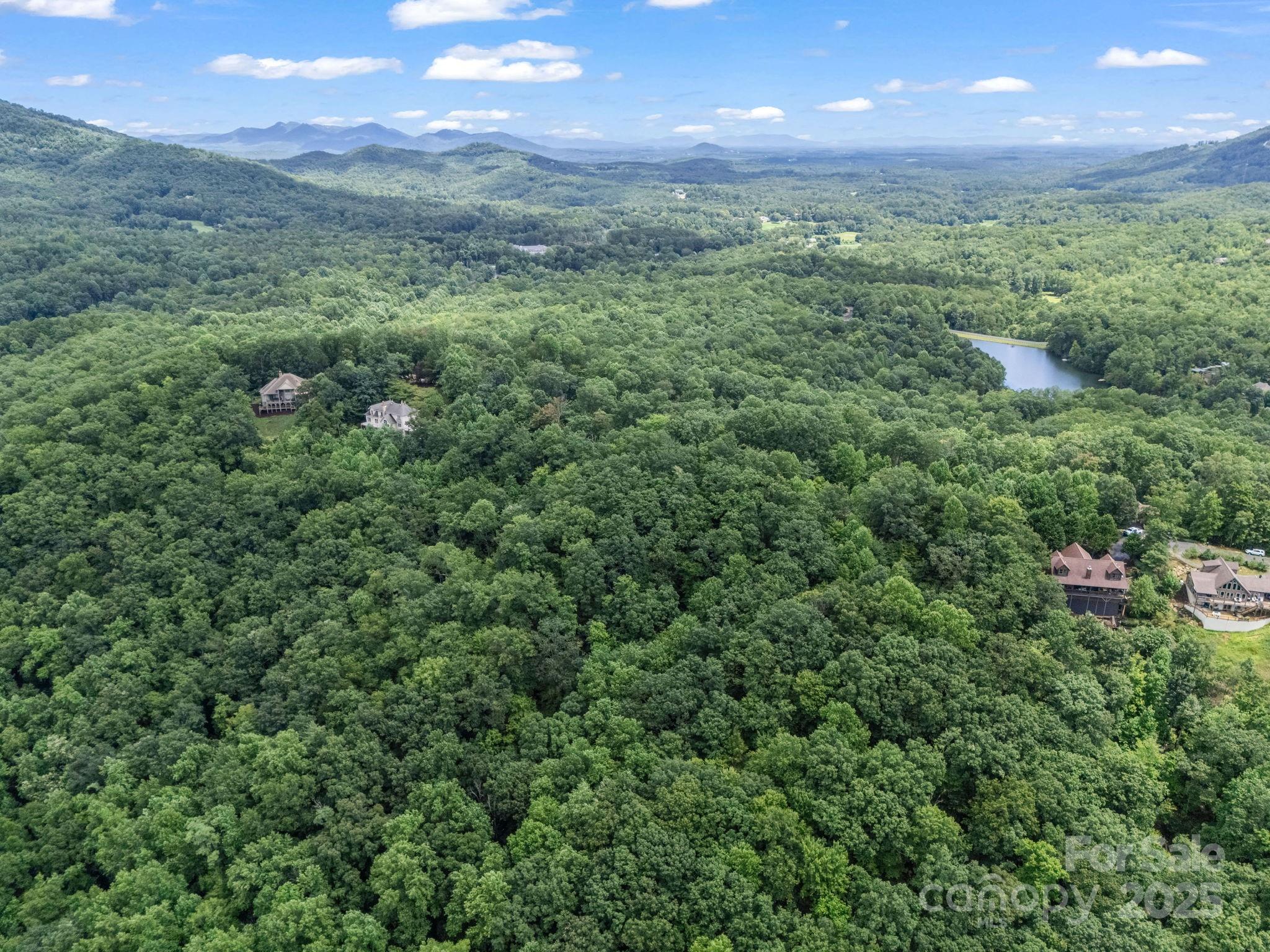 Lot 42 Hawks Nest Trail Property Photo 1