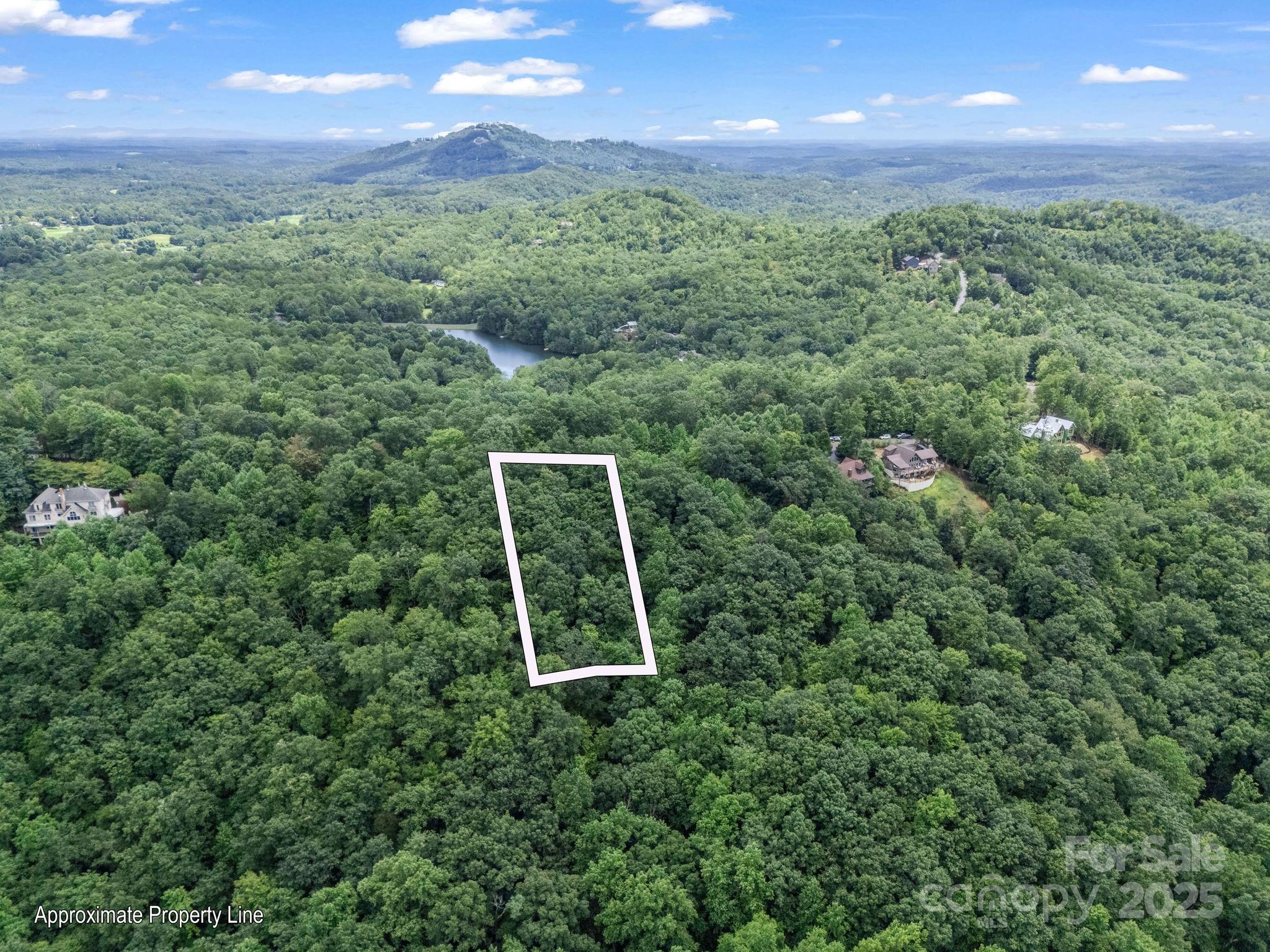Lot 42 Hawks Nest Trail Property Photo 5