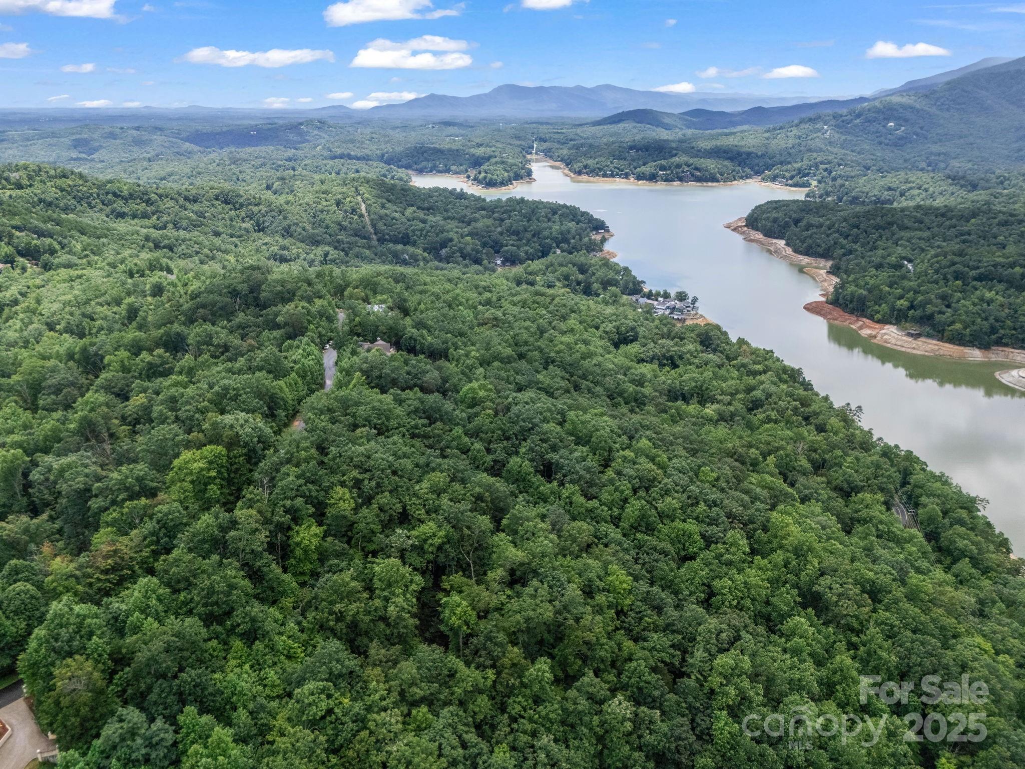 Lot 42 Hawks Nest Trail Property Photo 10