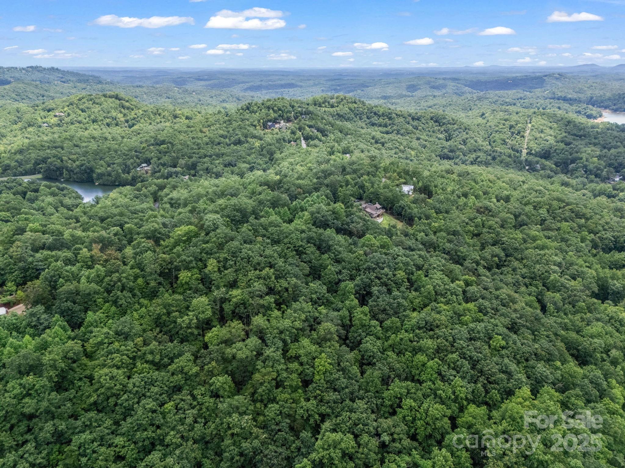 Lot 42 Hawks Nest Trail Property Photo 11