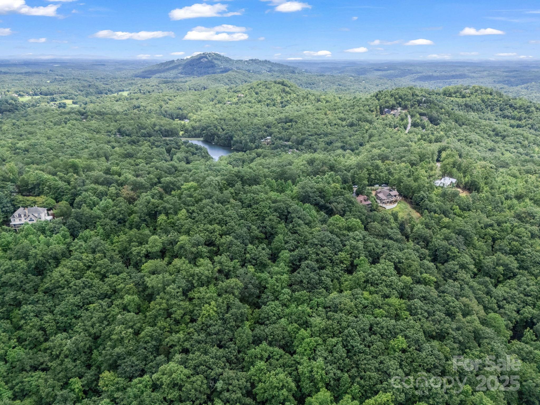 Lot 42 Hawks Nest Trail Property Photo 12