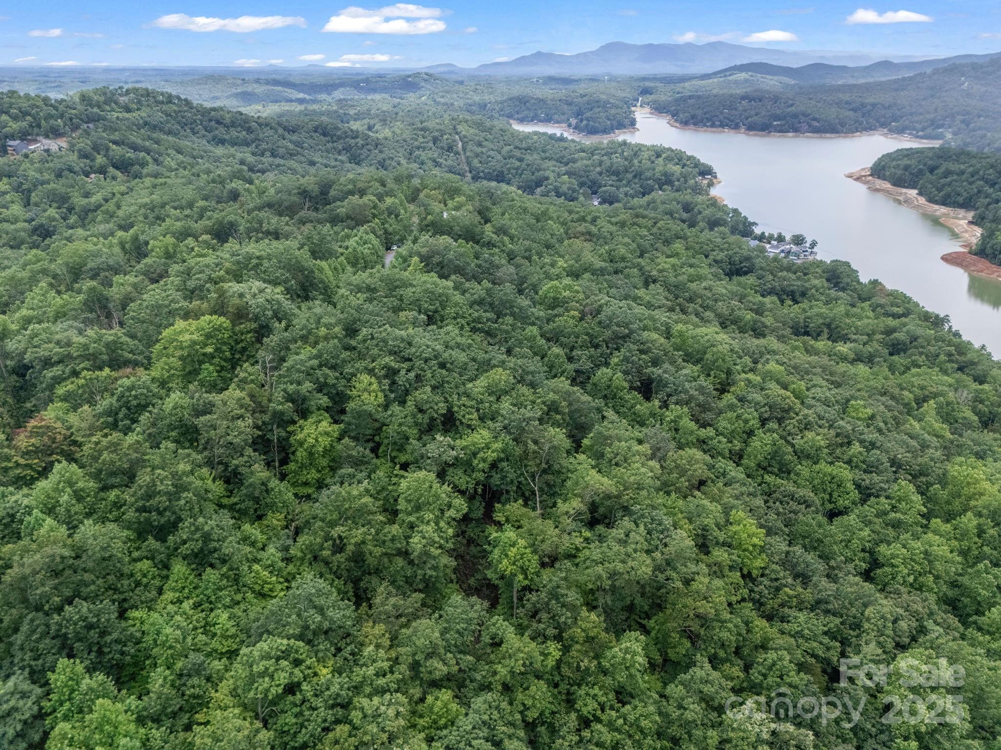 Lot 42 Hawks Nest Trail Property Photo 14