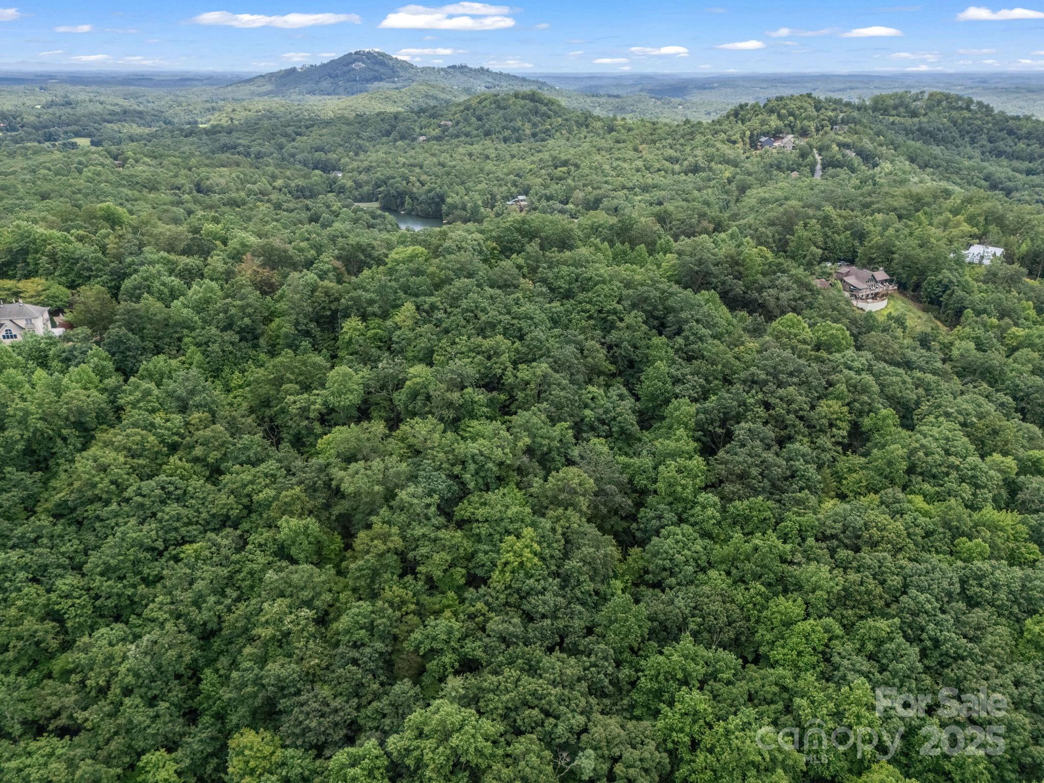 Lot 42 Hawks Nest Trail Property Photo 15