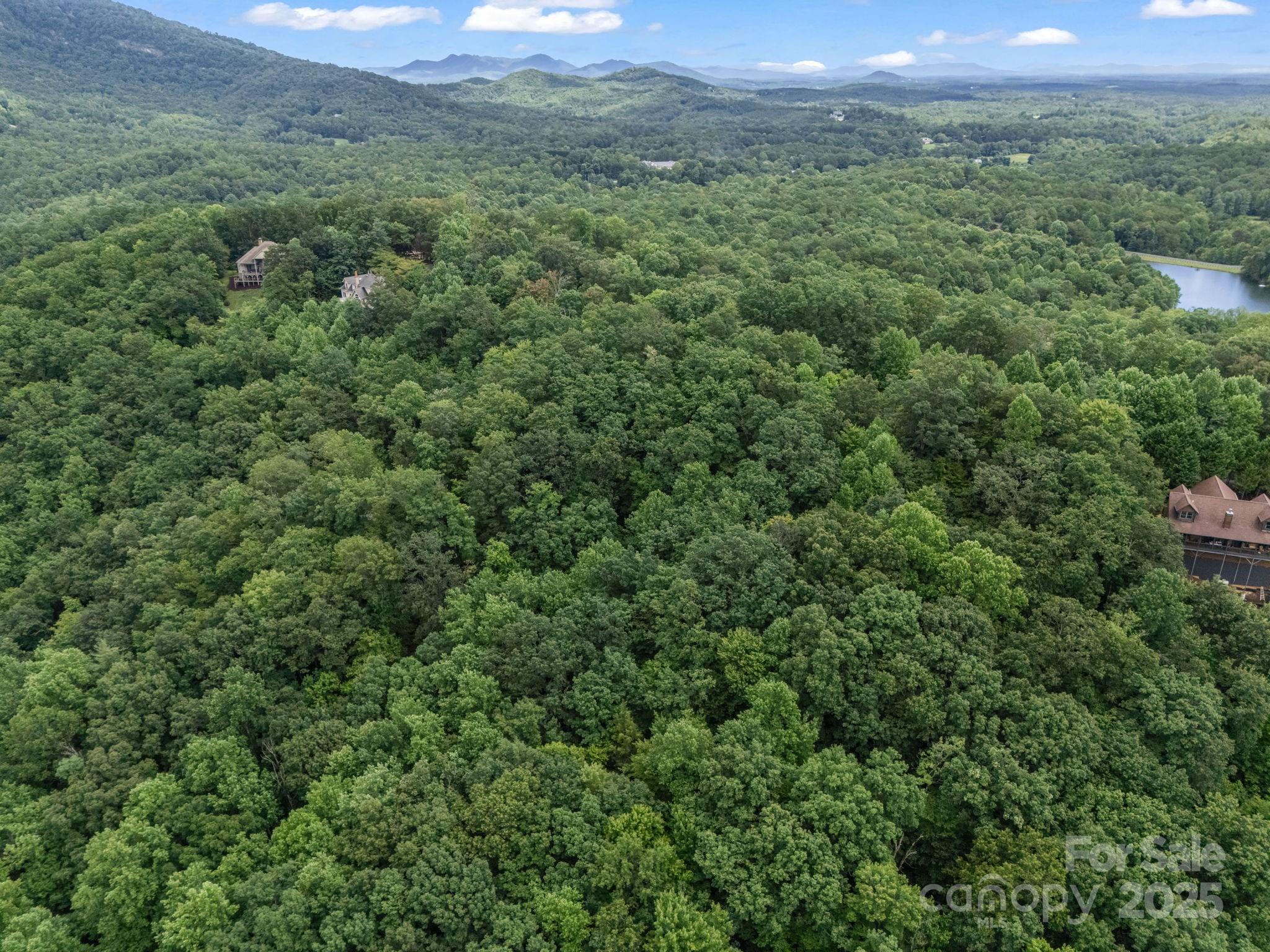 Lot 42 Hawks Nest Trail Property Photo 16