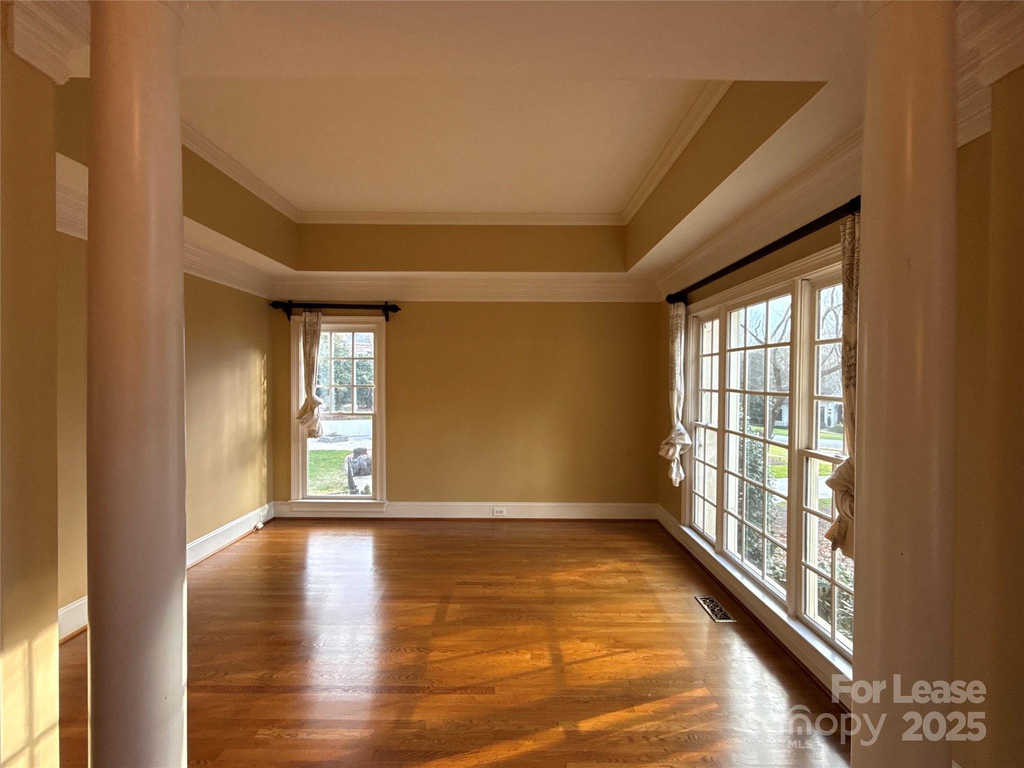 14419 Ballantyne Meadows Drive Property Photo 4