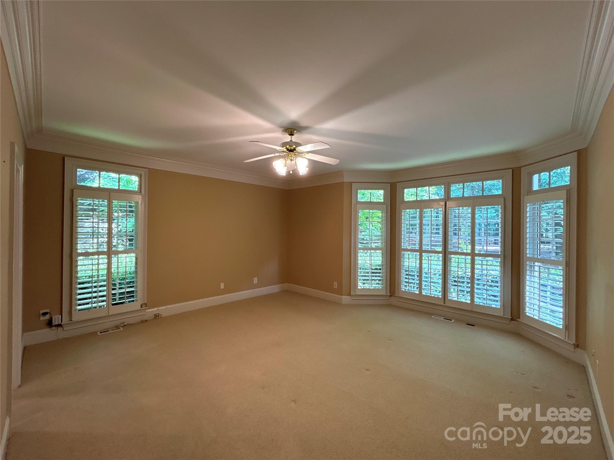 14419 Ballantyne Meadows Drive Property Photo 13