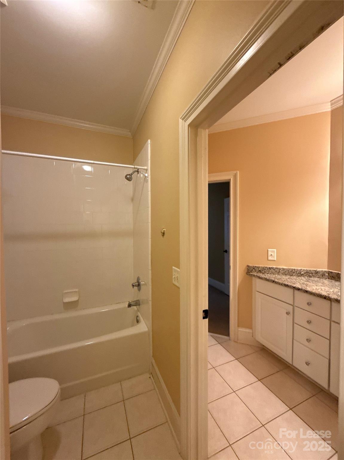14419 Ballantyne Meadows Drive Property Photo 19