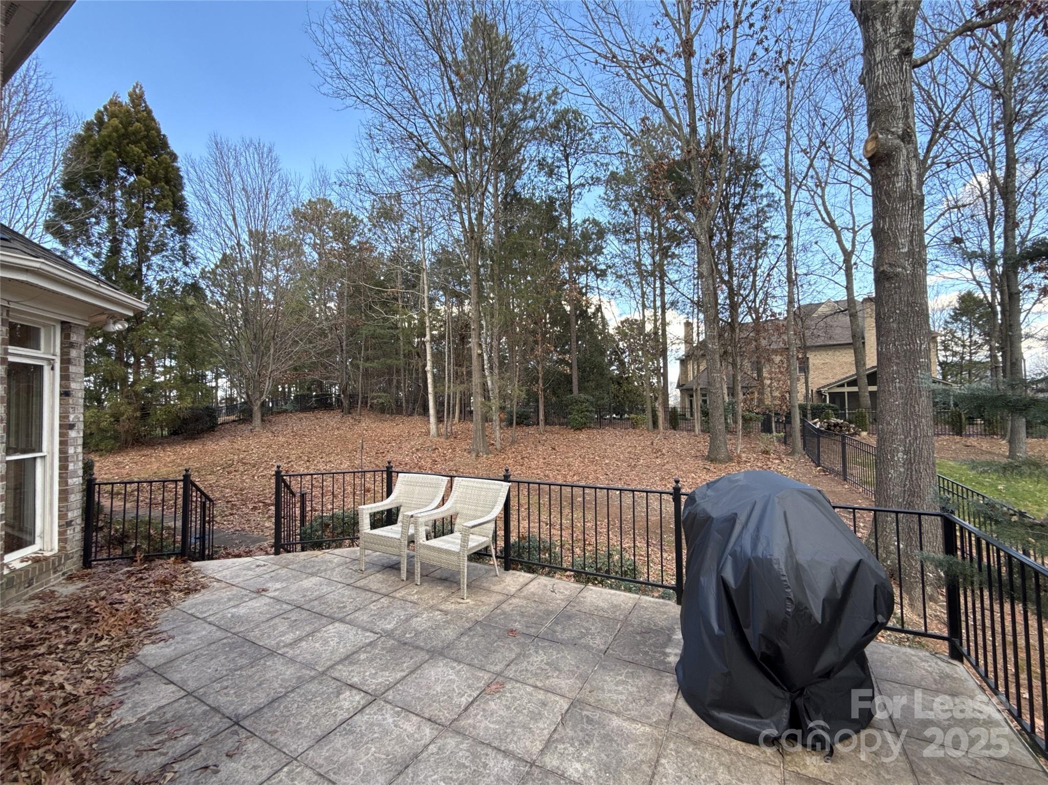 14419 Ballantyne Meadows Drive Property Photo 24