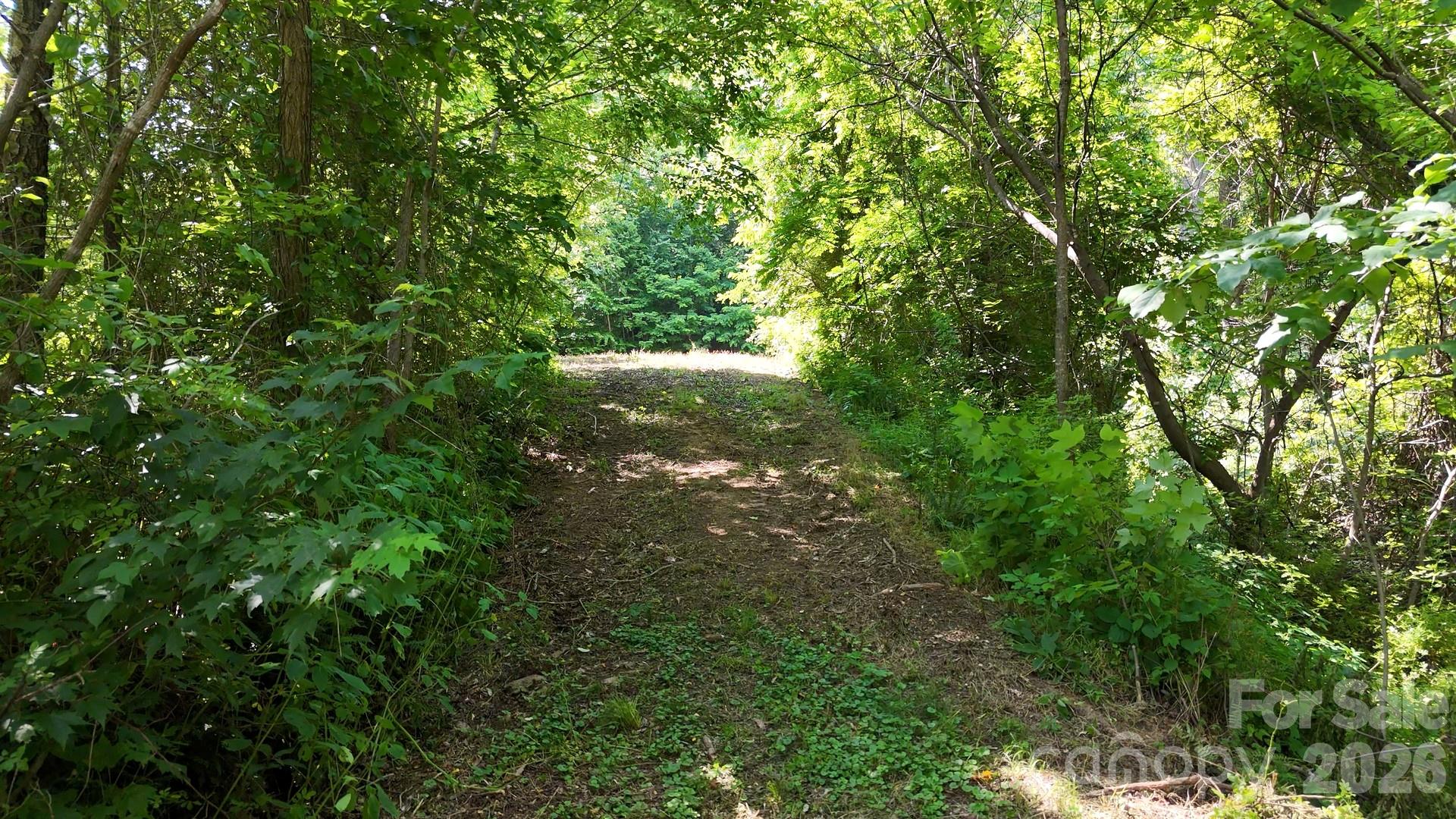 Lot 23 Asa Trail Property Photo 4