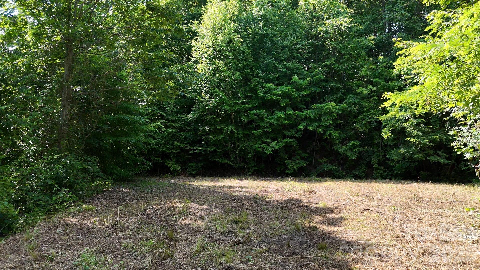 Lot 23 Asa Trail Property Photo 6