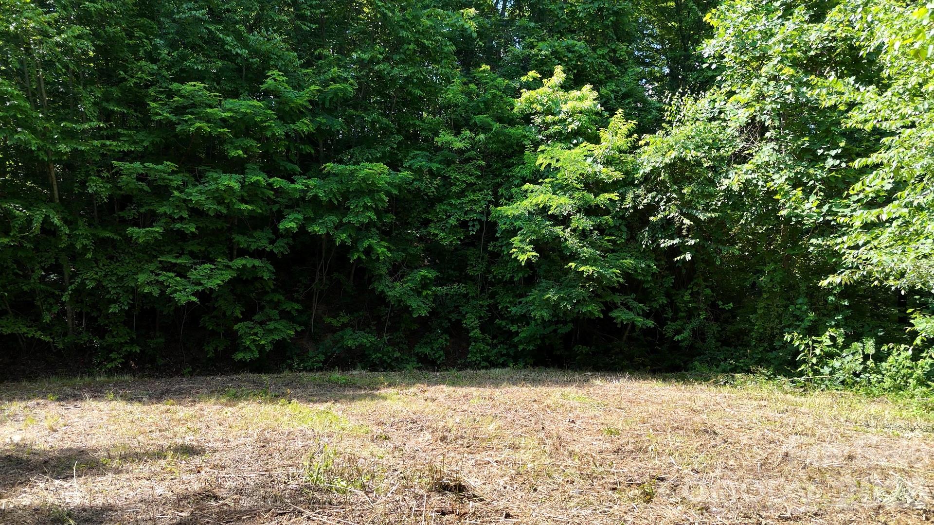 Lot 23 Asa Trail Property Photo 7