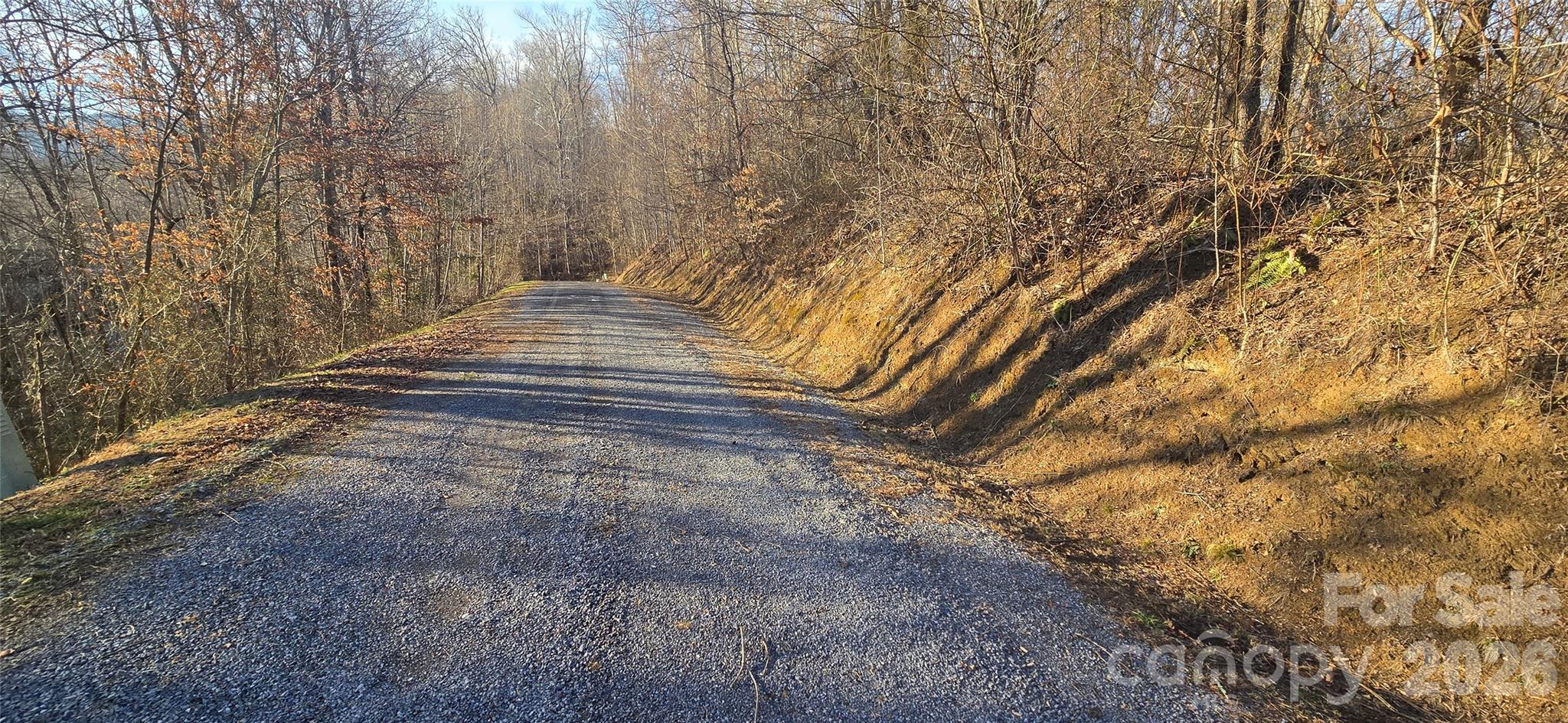 Lot 23 Asa Trail Property Photo 9