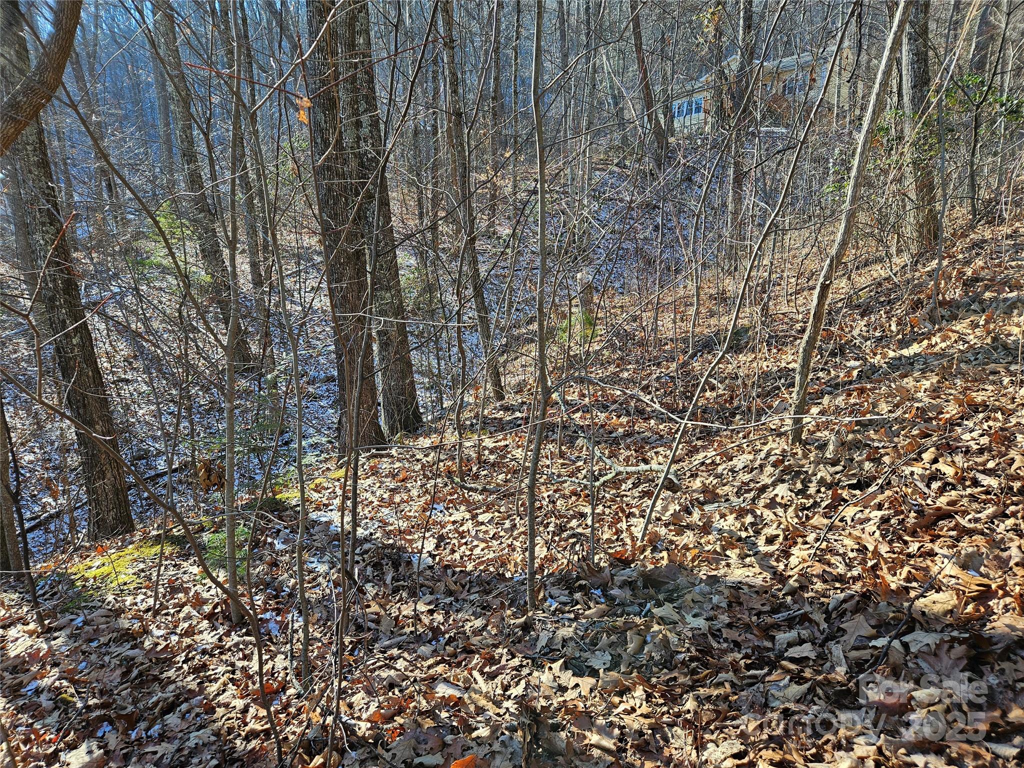 Big Cove Estates Real Estate Listings Main Image