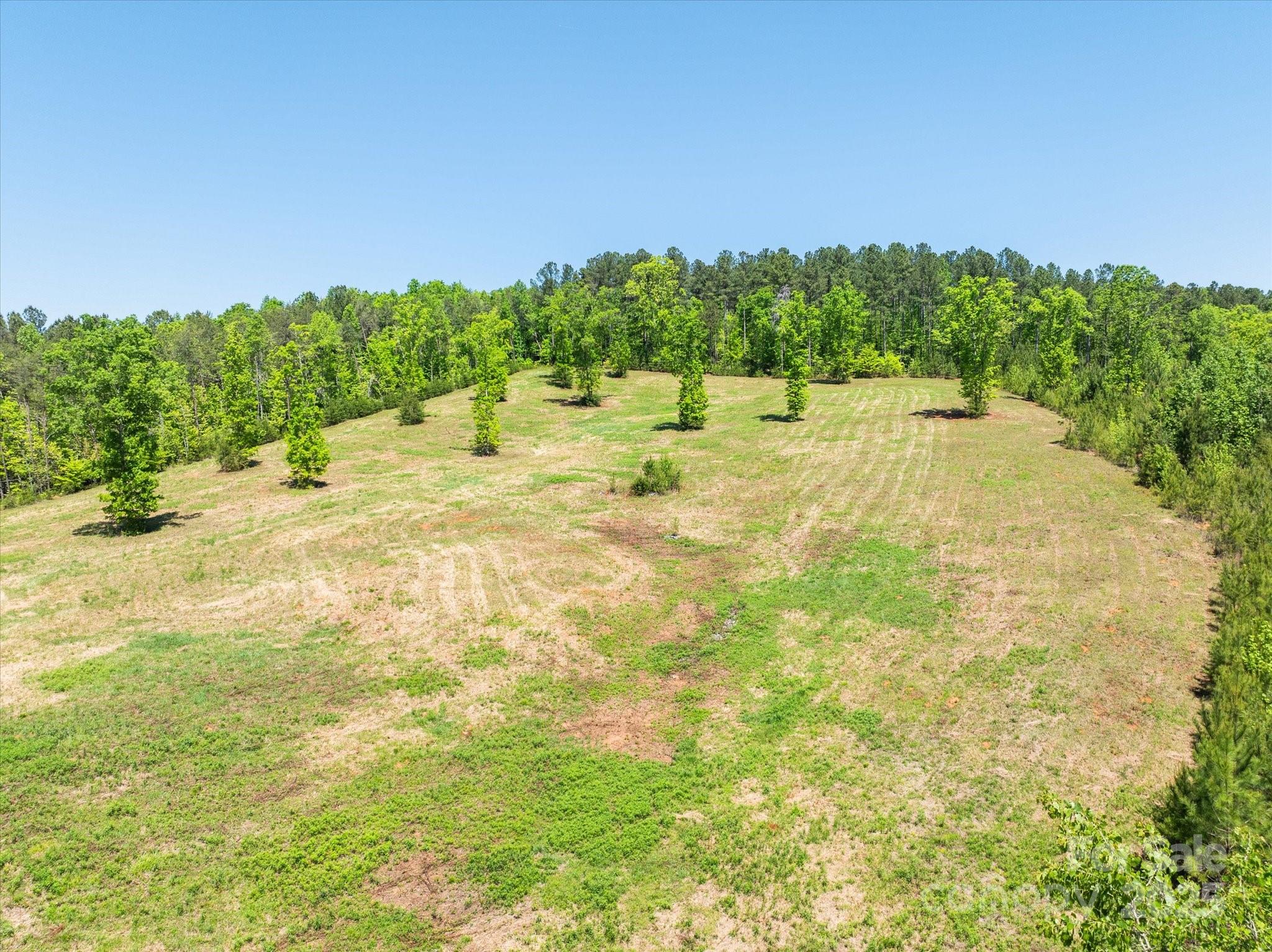 99999 Pea Ridge Road Property Photo 3