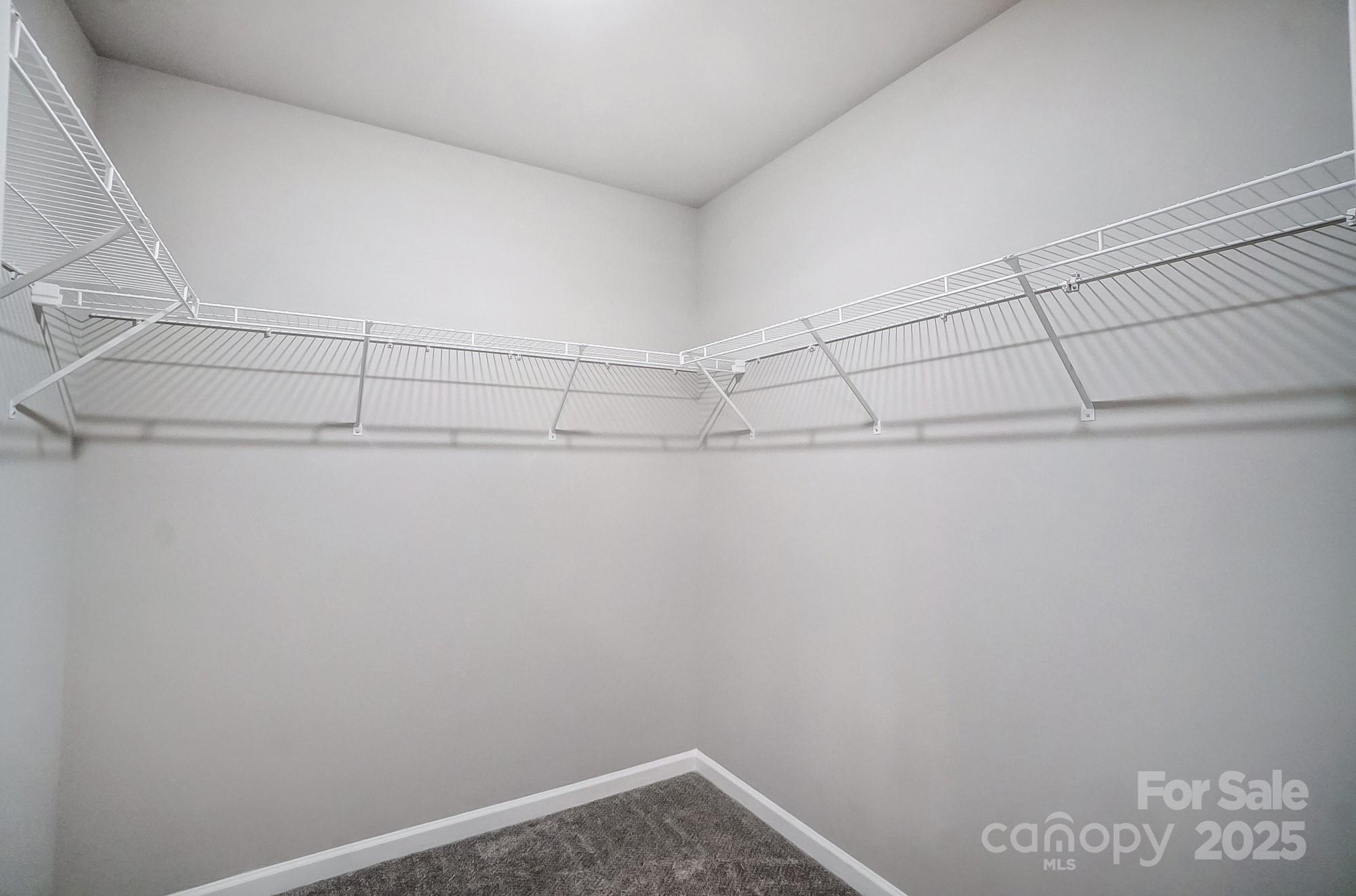 3216 Ainsley Woods Drive Property Photo 26