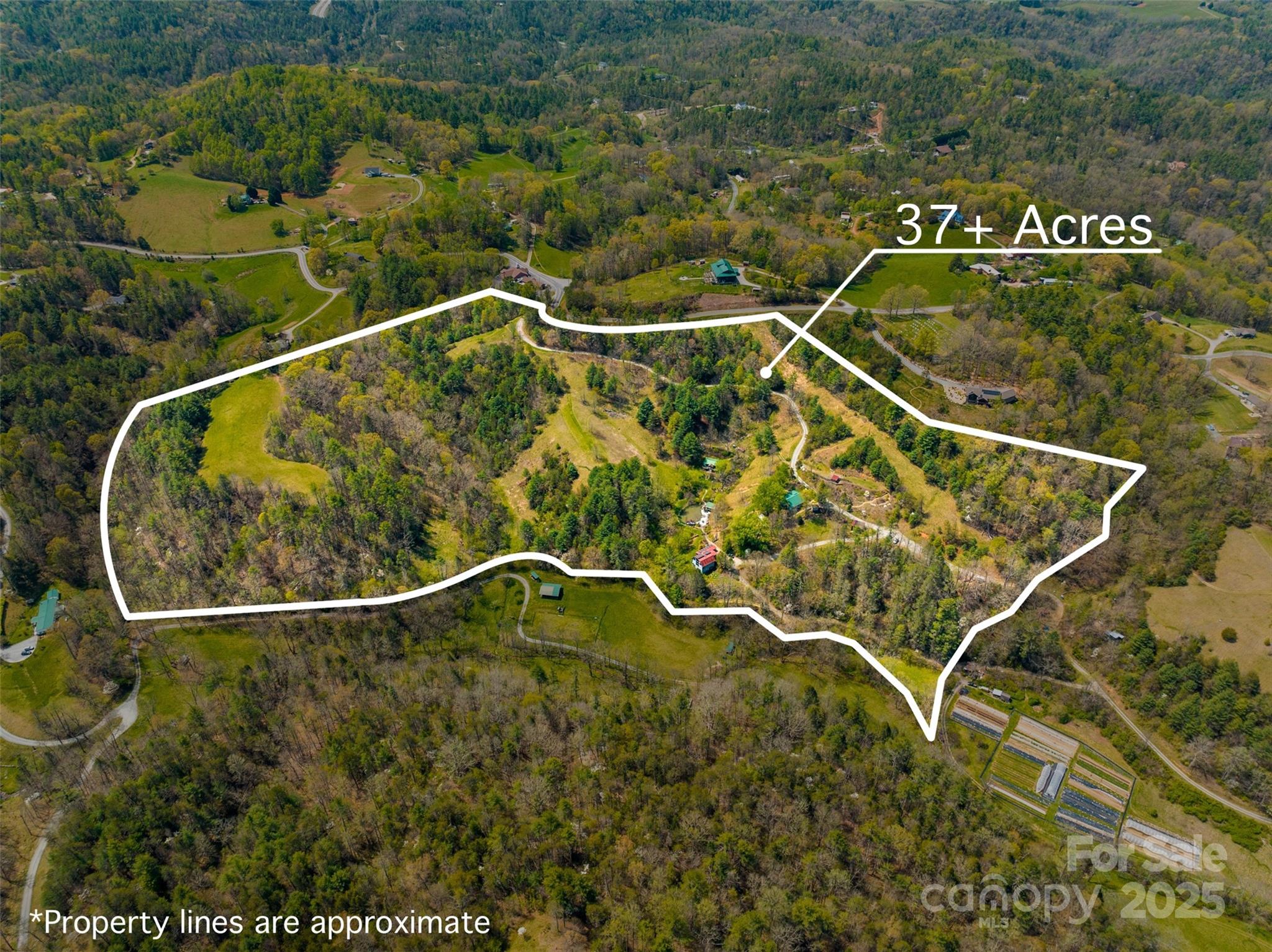 3717 Bend Of Ivy Road Property Photo 4
