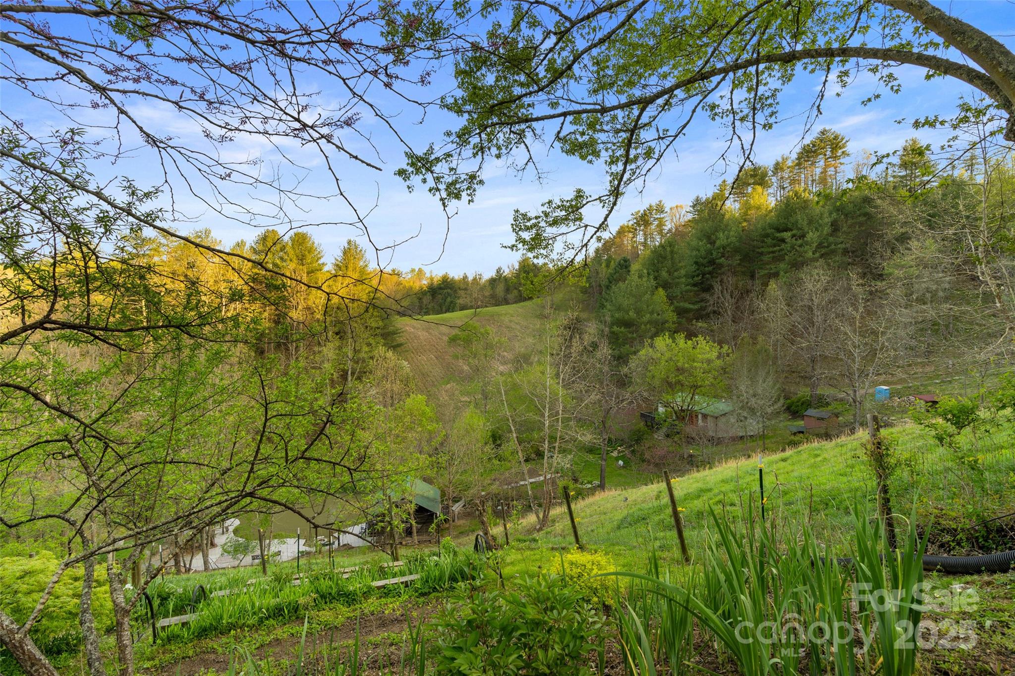 3717 Bend Of Ivy Road Property Photo 7