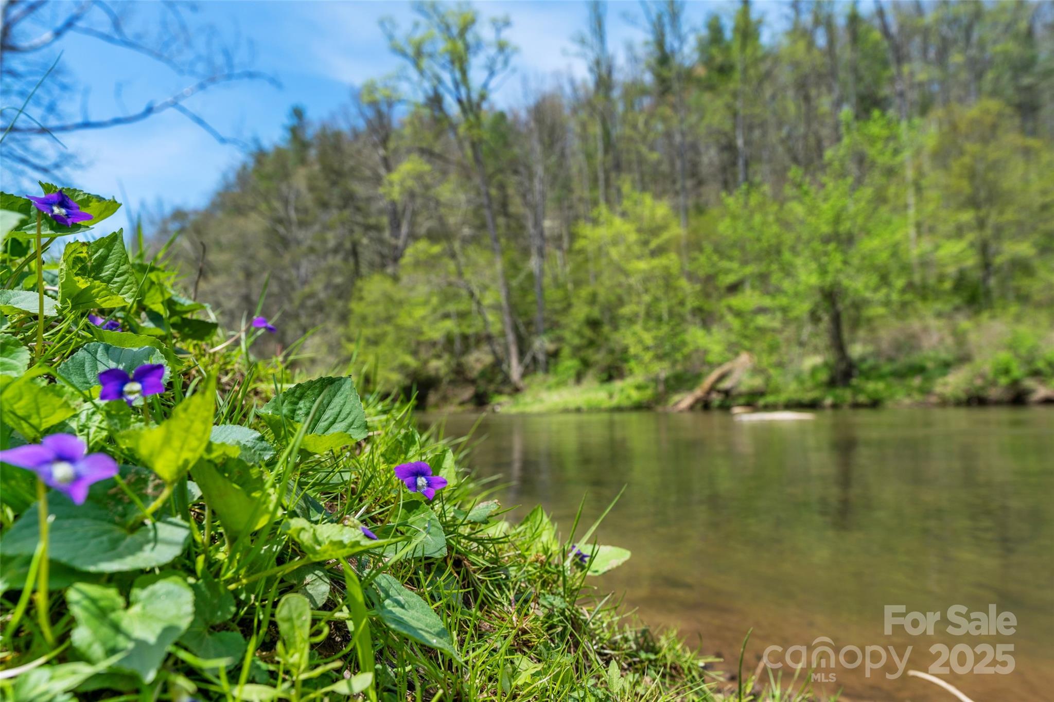 3717 Bend Of Ivy Road Property Photo 9