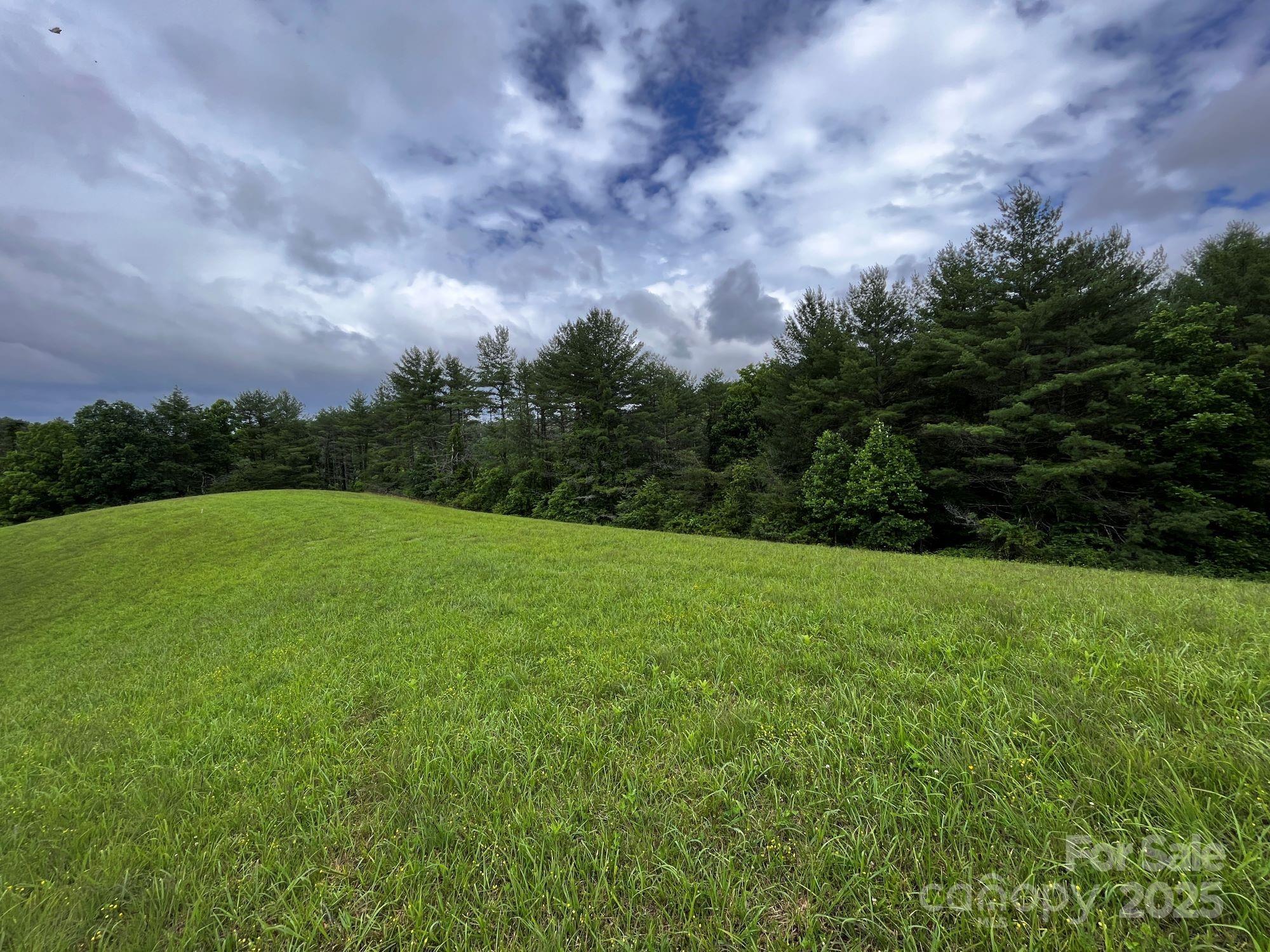 3717 Bend Of Ivy Road Property Photo 44
