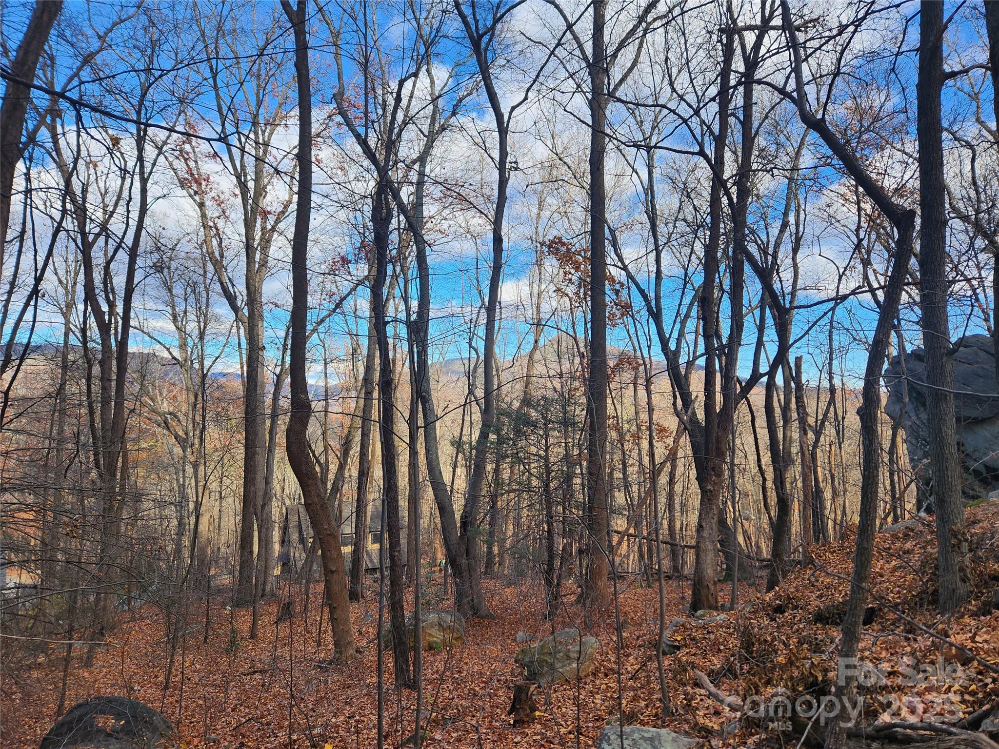Lot 197 Bald Mountain Crescent Property Photo 2