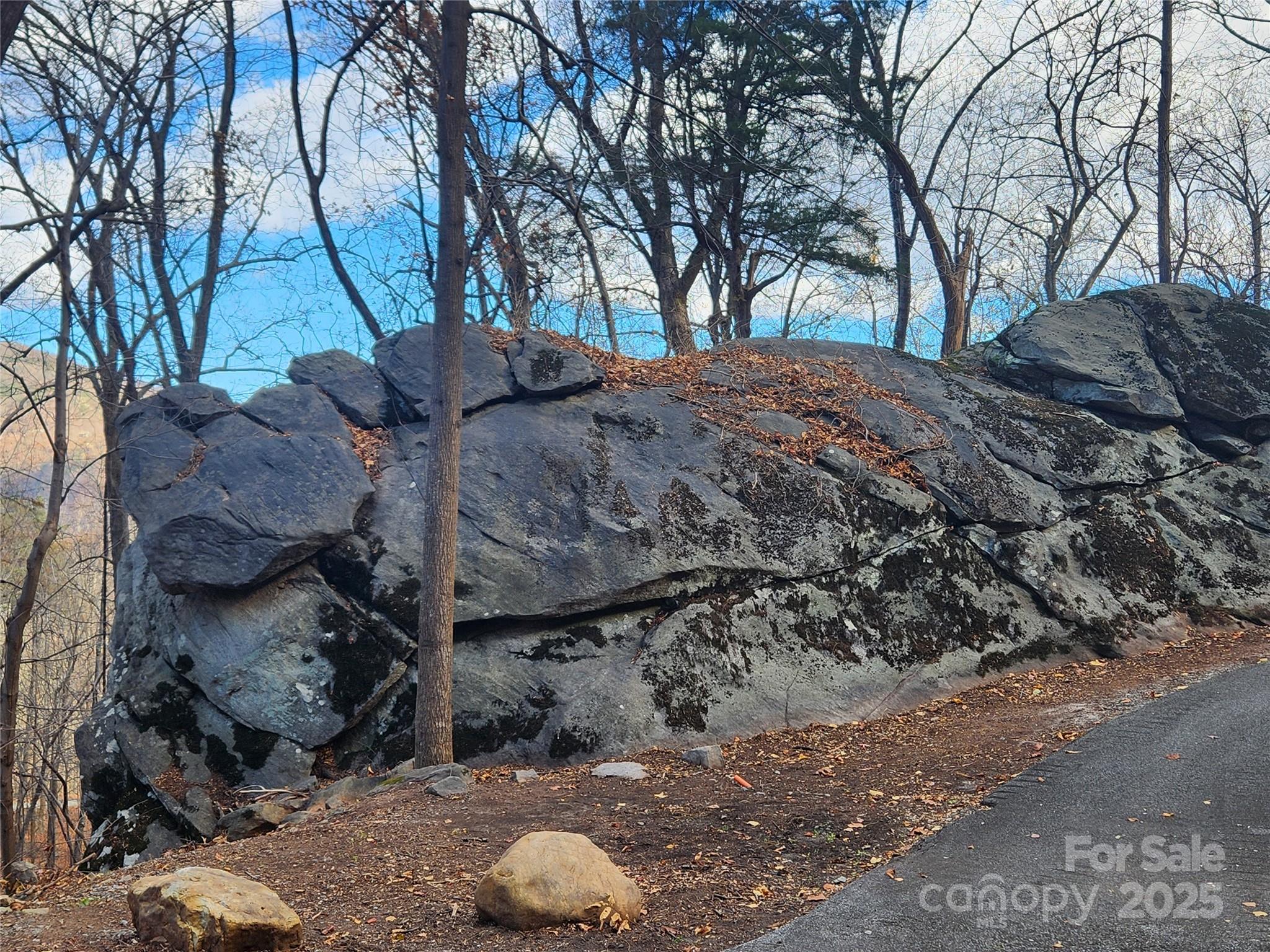 Lot 197 Bald Mountain Crescent Property Photo 3