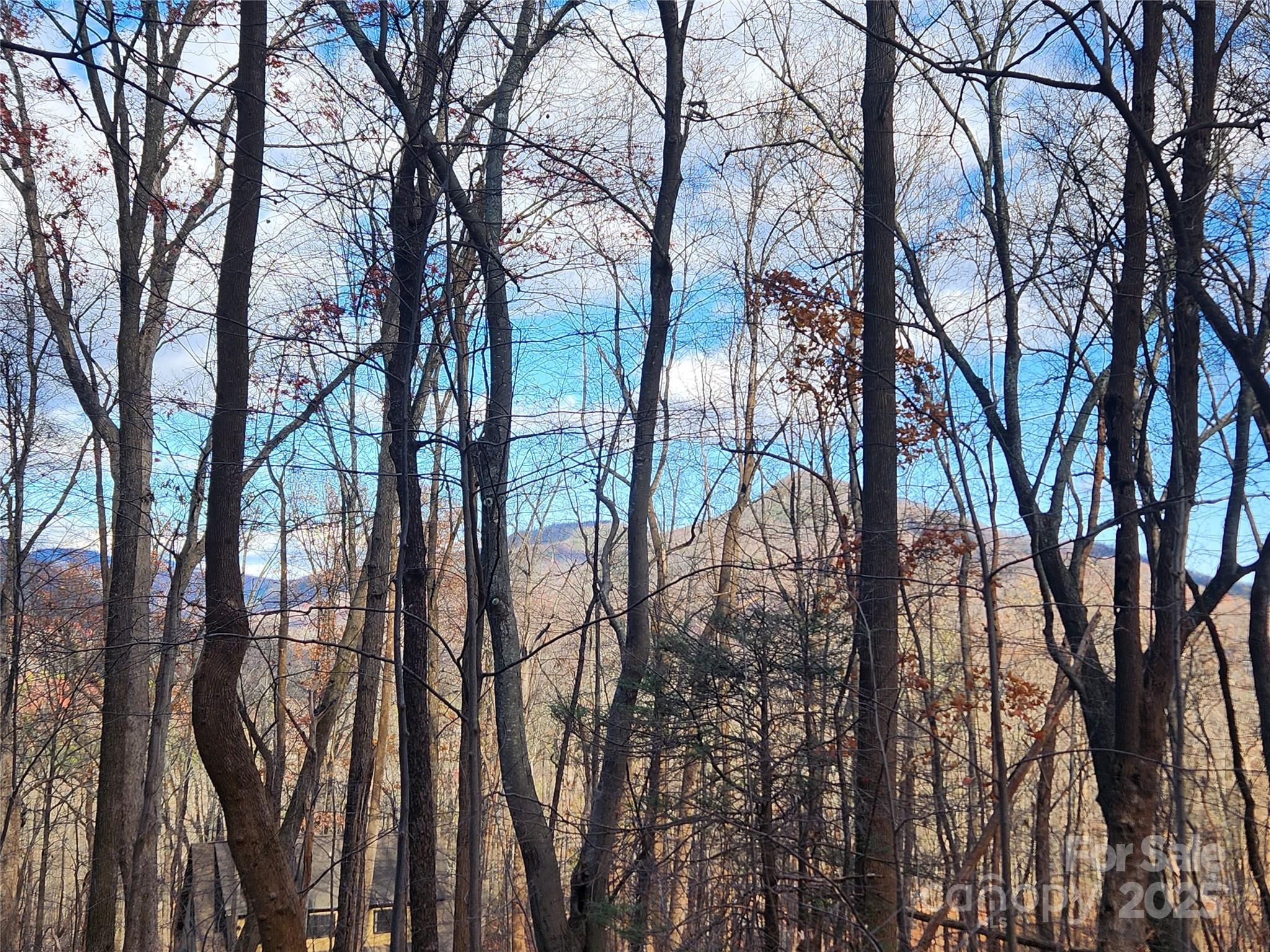 Lot 197 Bald Mountain Crescent Property Photo 4