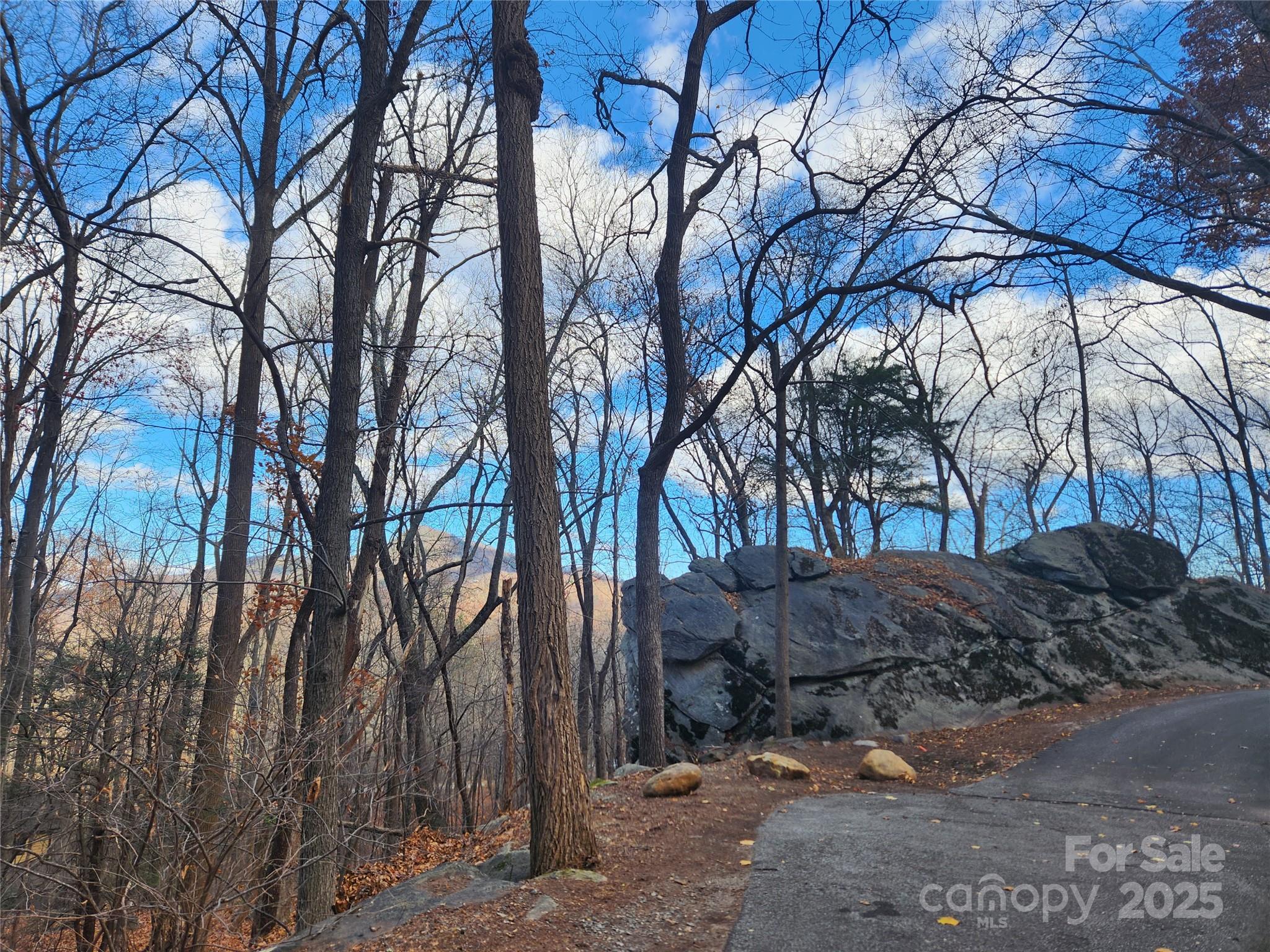 Lot 197 Bald Mountain Crescent Property Photo 6