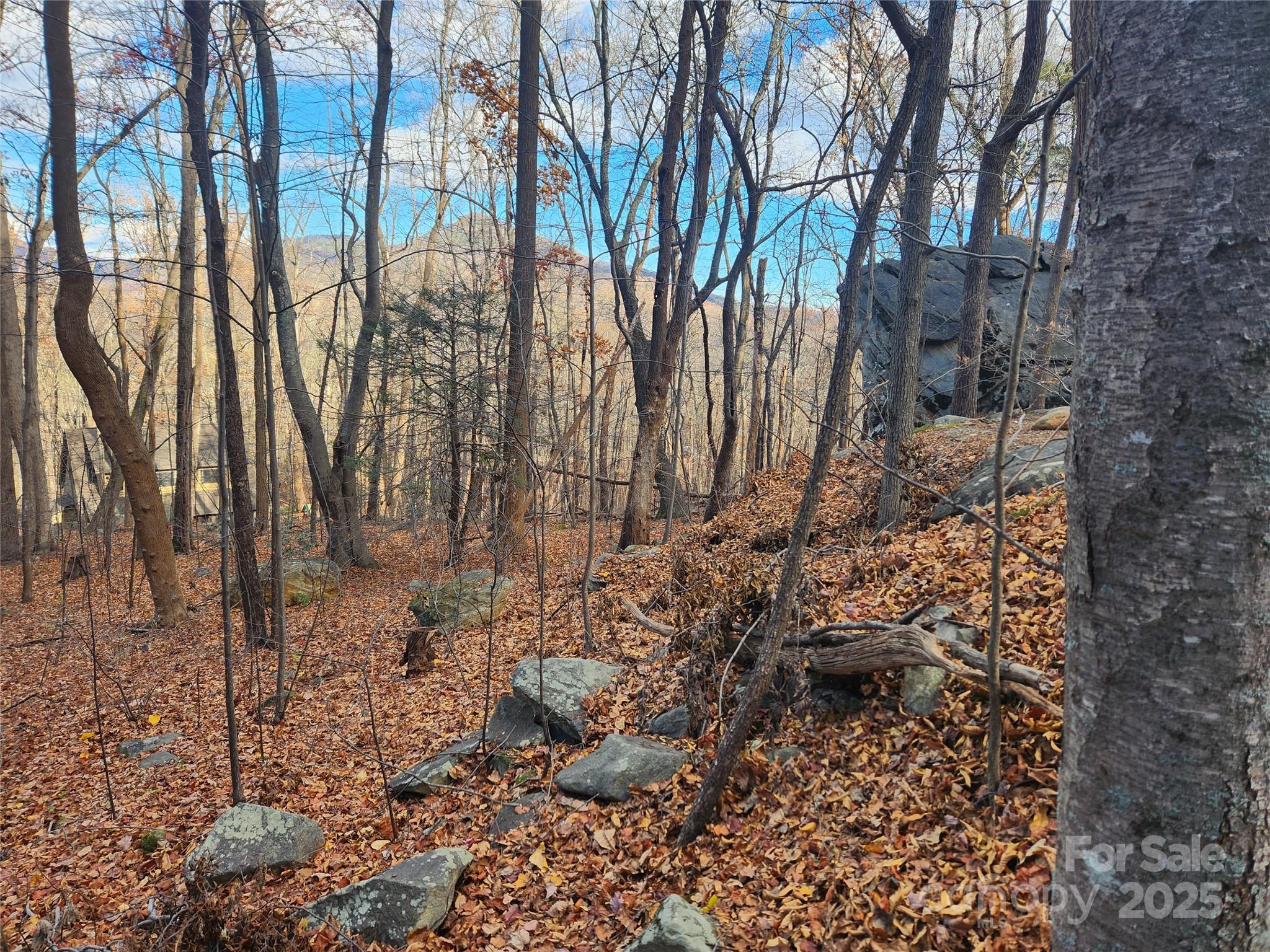 Lot 197 Bald Mountain Crescent Property Photo 8