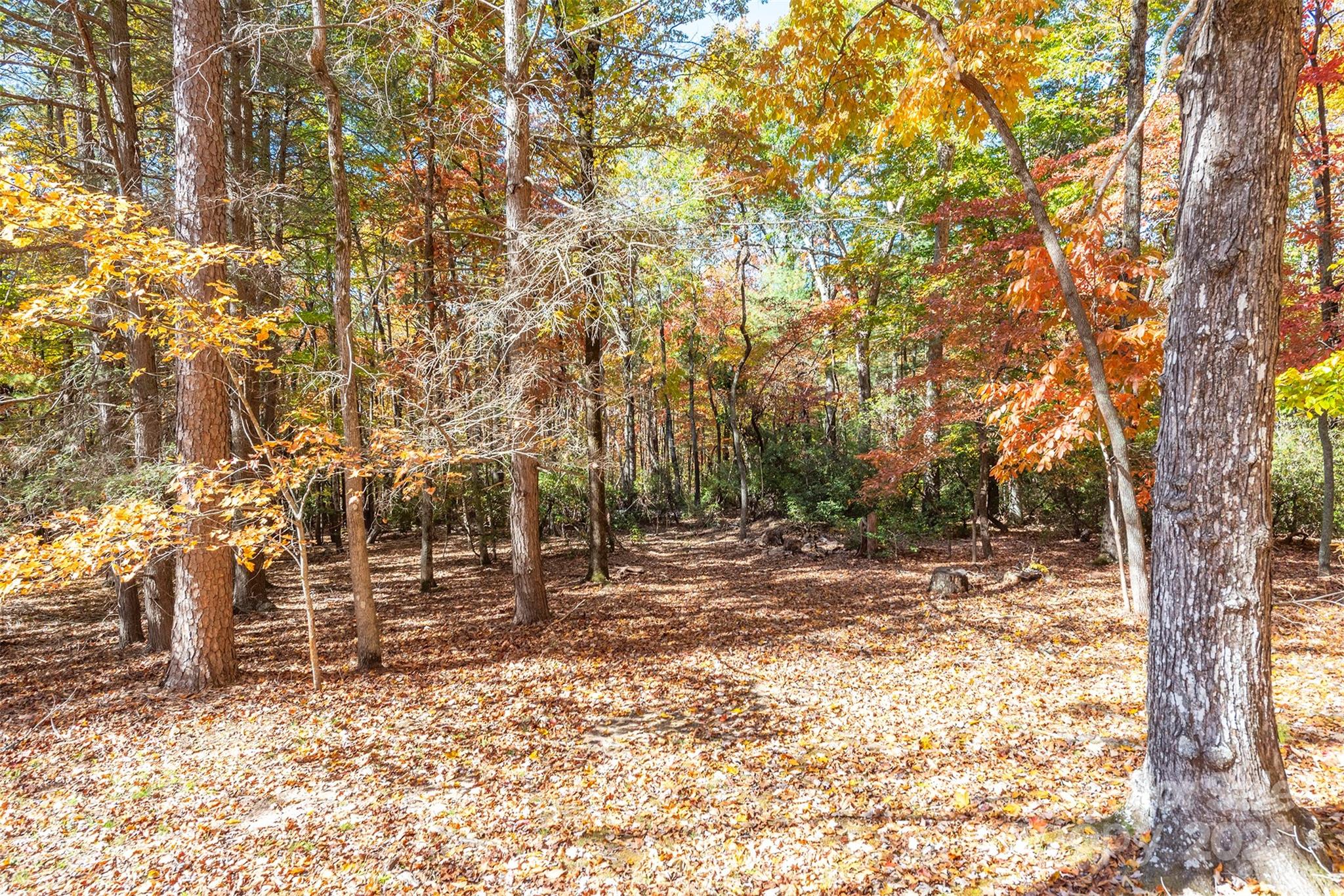 102 Weaver Mill Road Property Photo 40