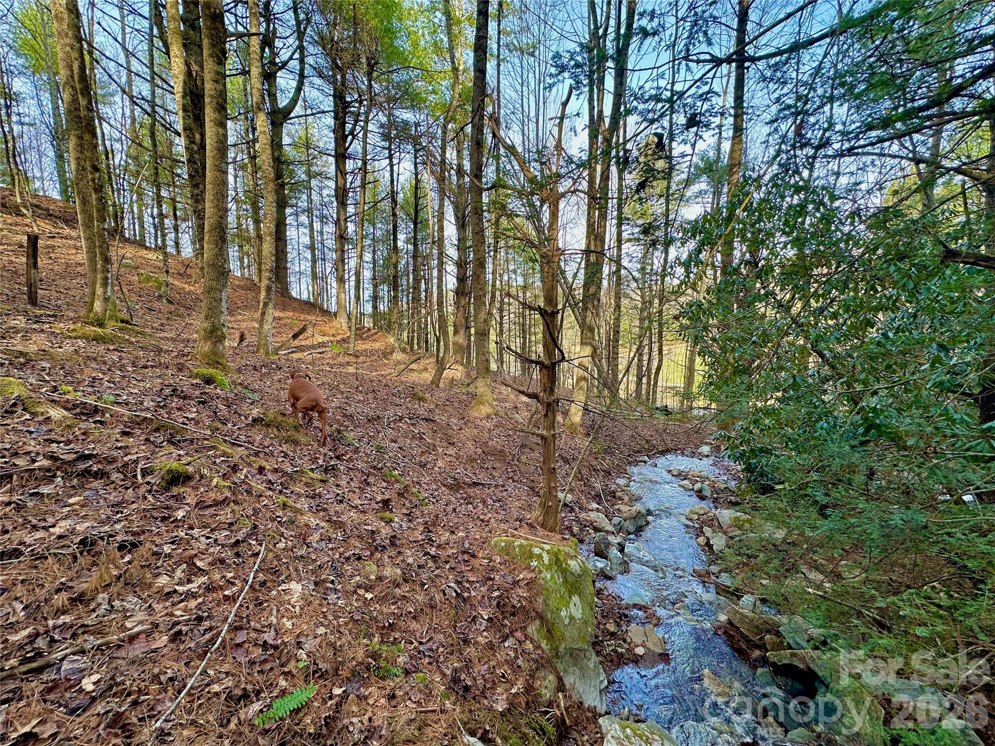 Tbd George Hayes Road Property Photo 4