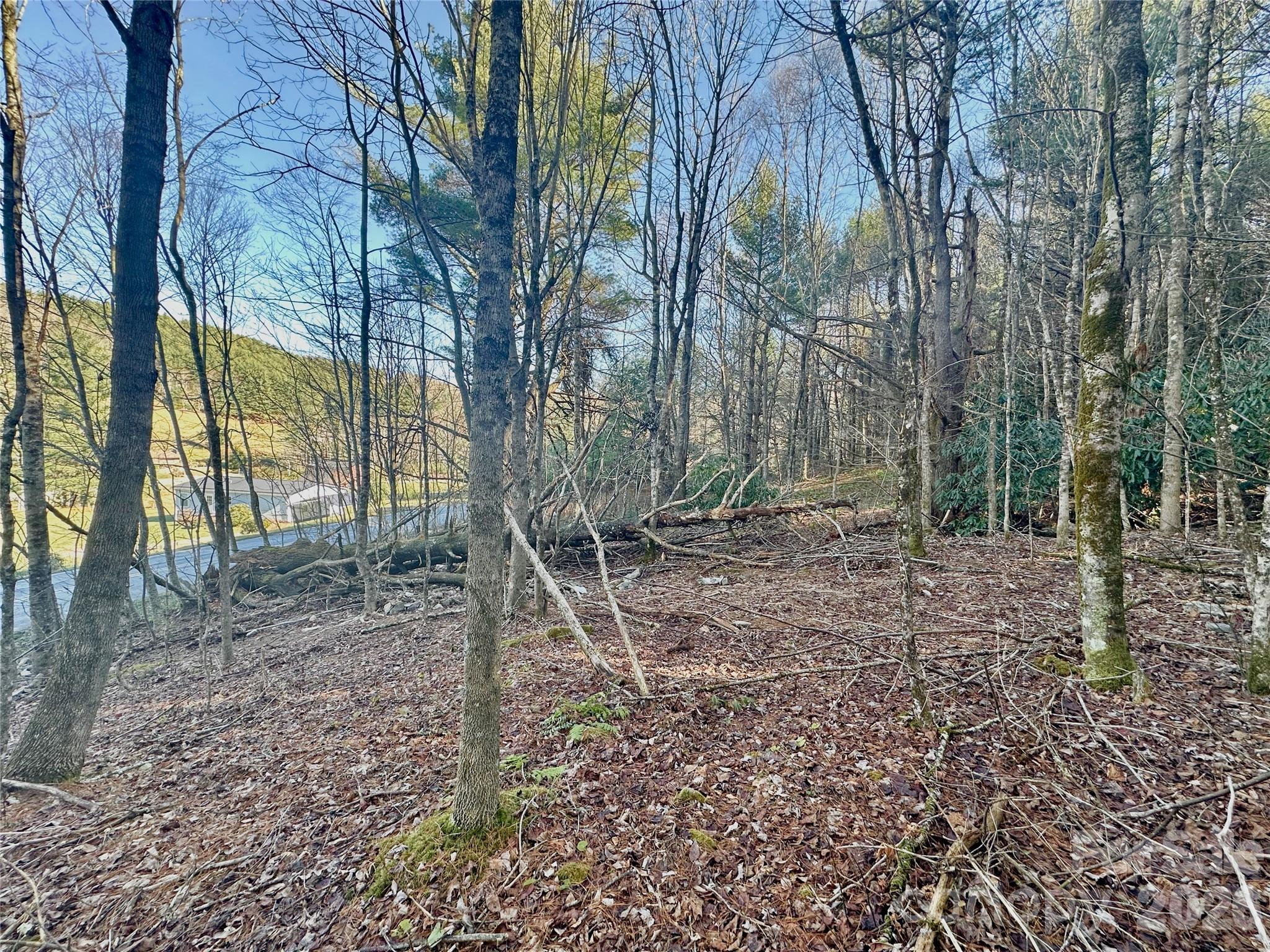 Tbd George Hayes Road Property Photo 12