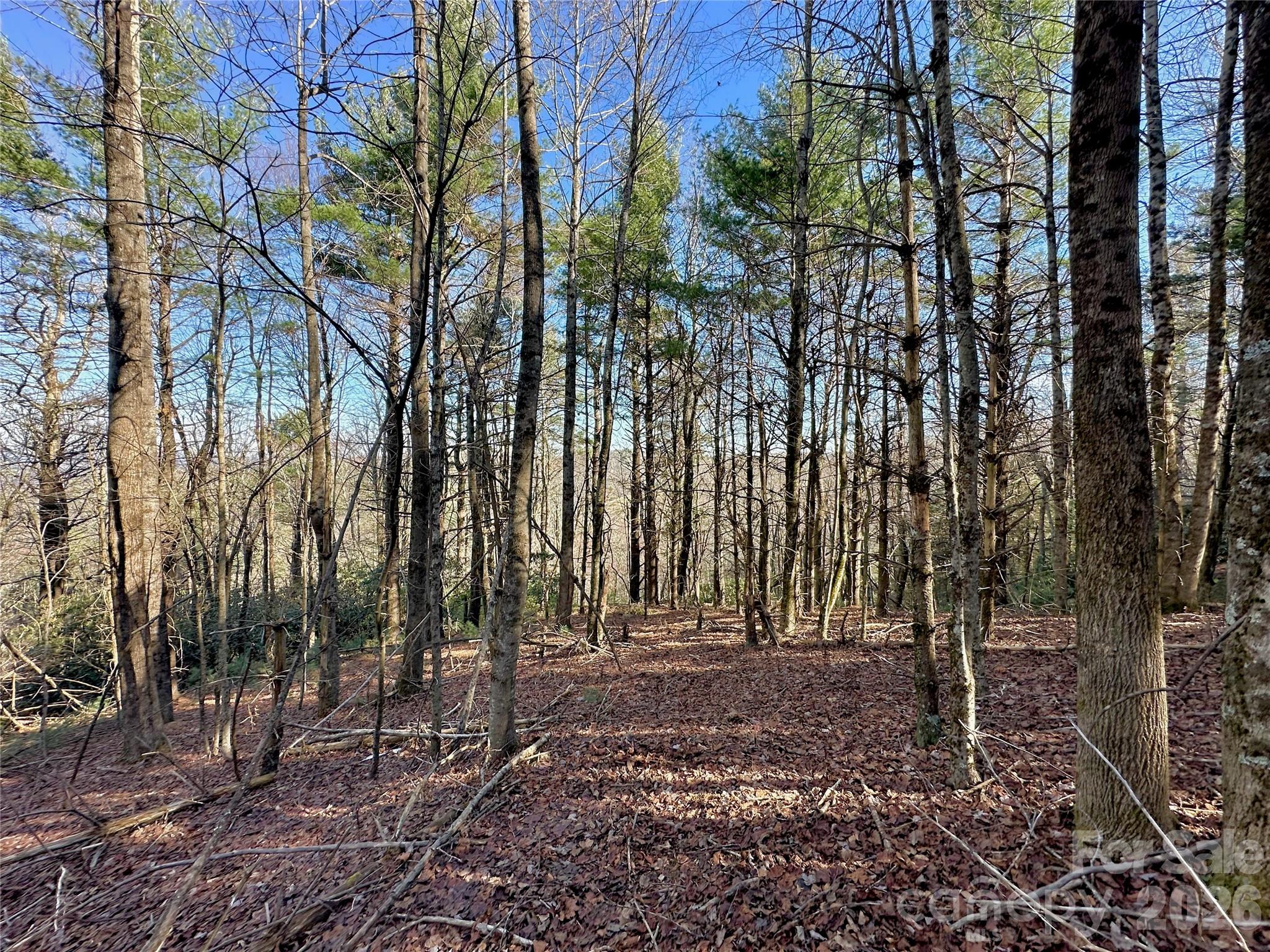 Tbd George Hayes Road Property Photo 15