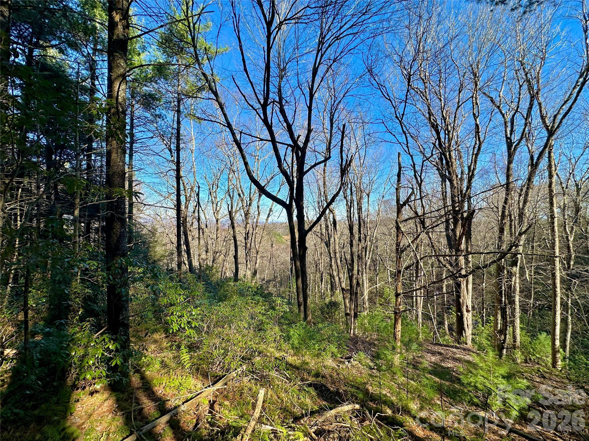 Tbd George Hayes Road Property Photo 17