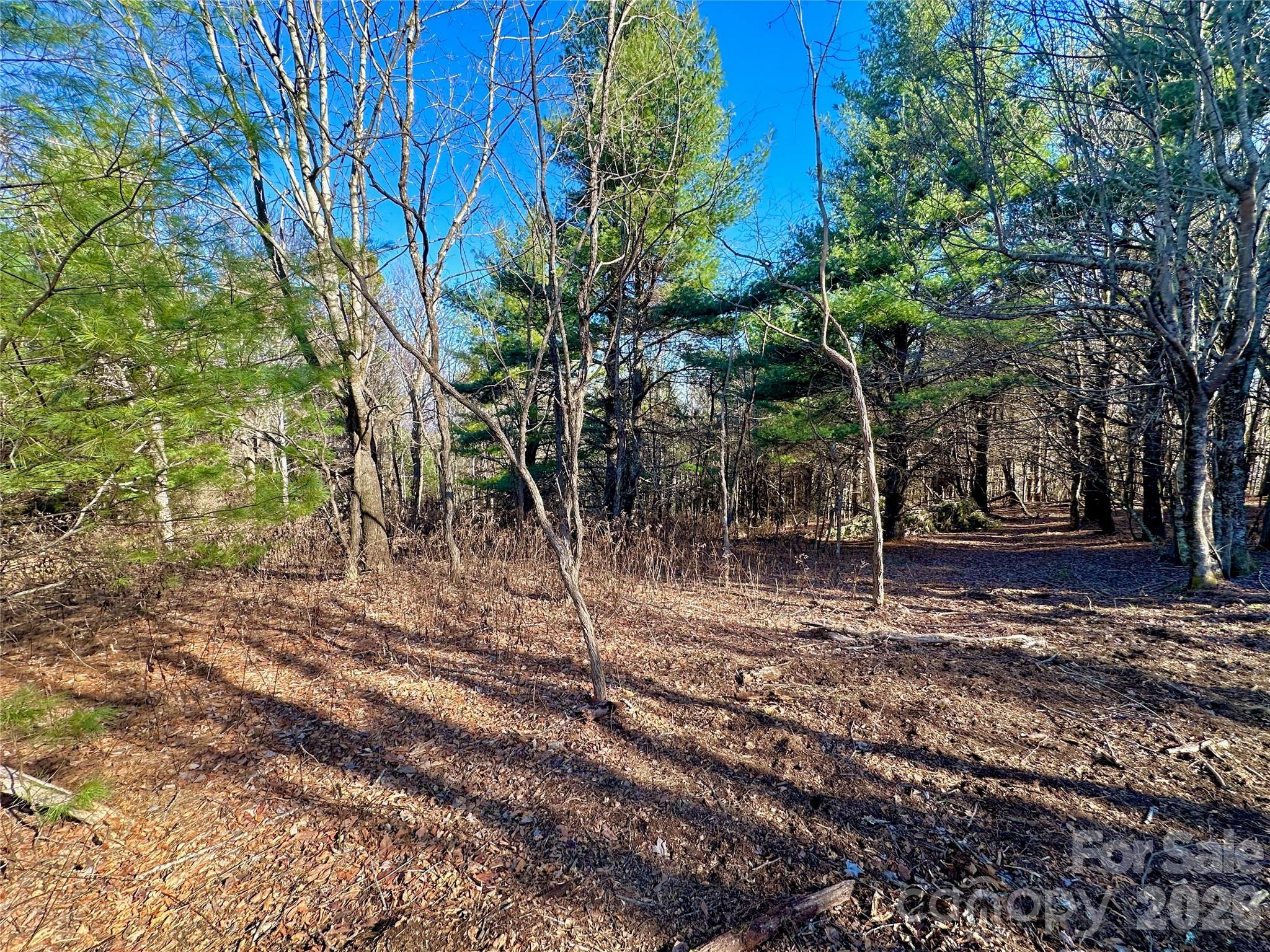 Tbd George Hayes Road Property Photo 21