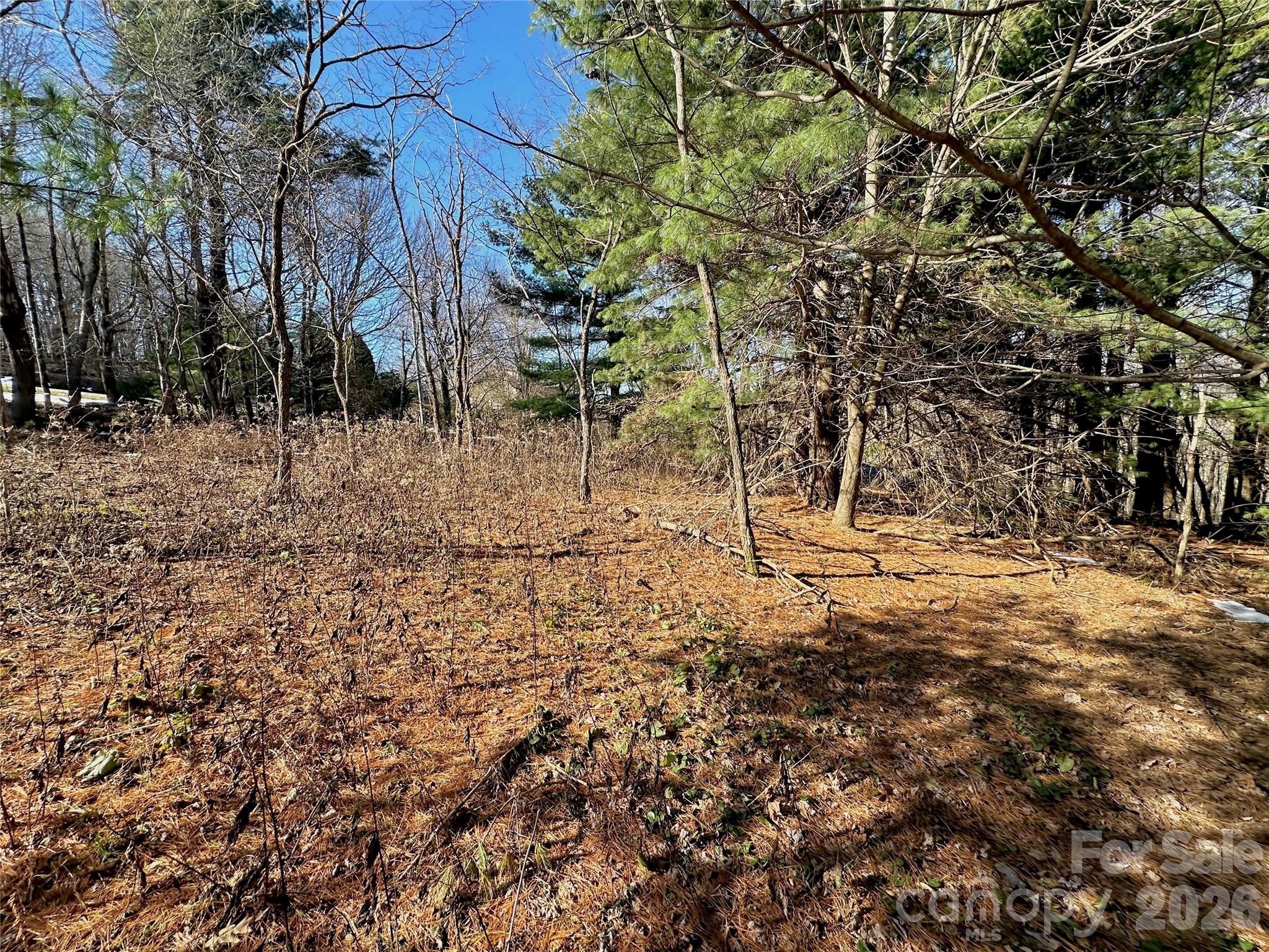 Tbd George Hayes Road Property Photo 22