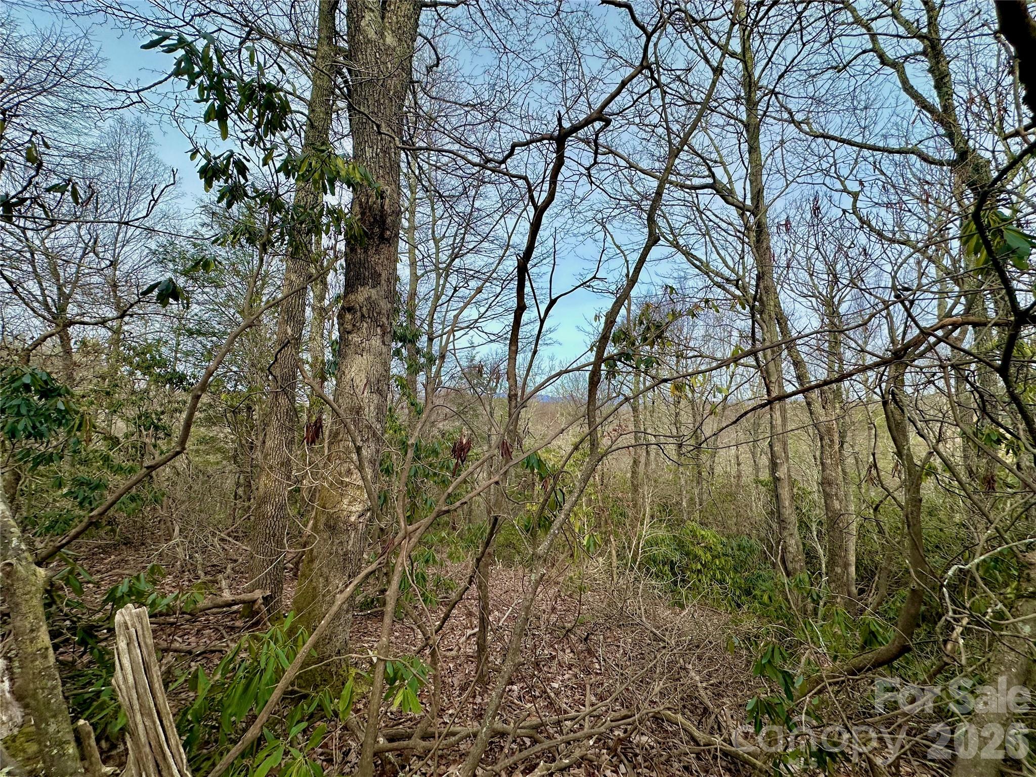 Tbd George Hayes Road Property Photo 24