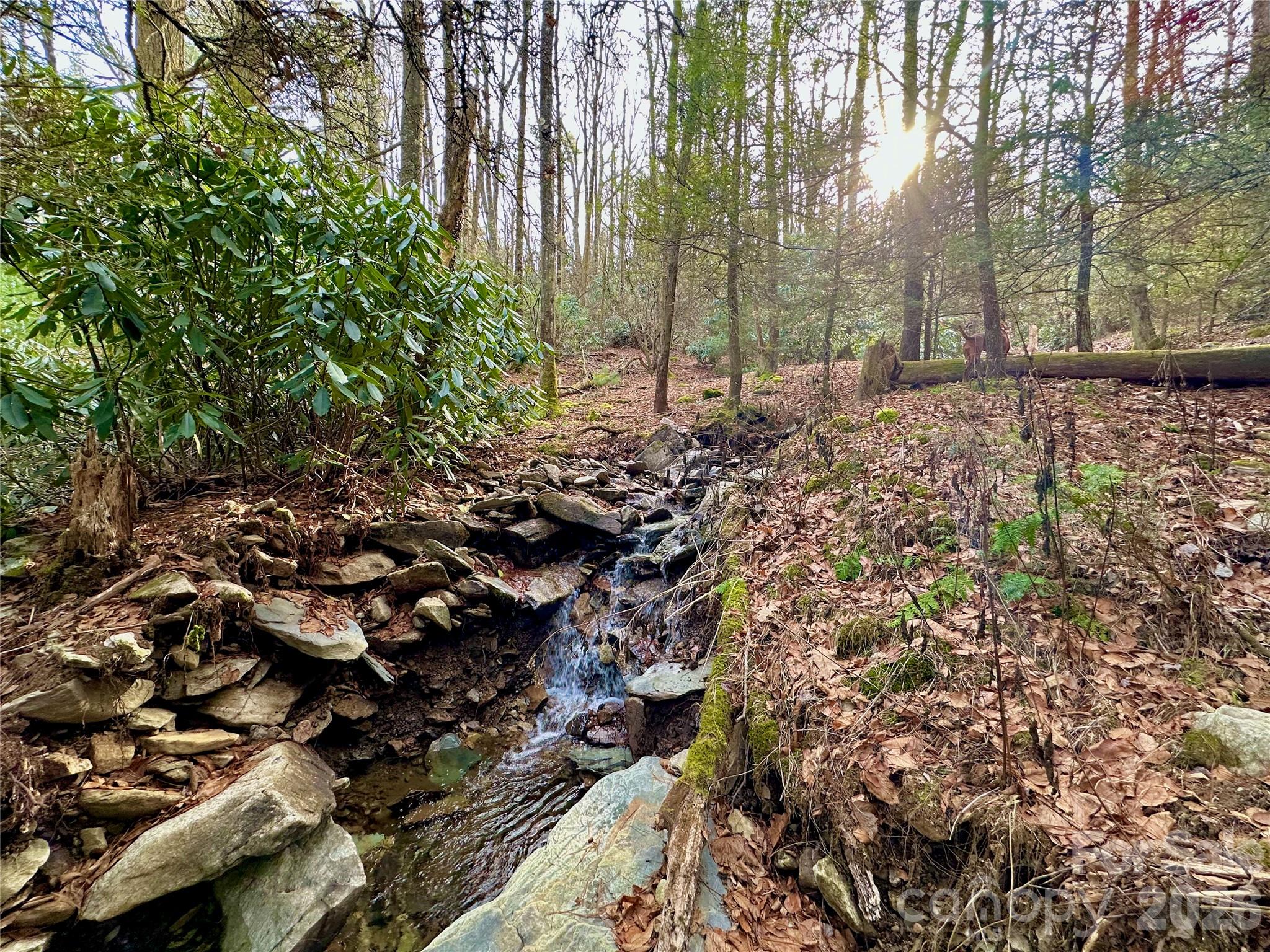 Tbd George Hayes Road Property Photo 25