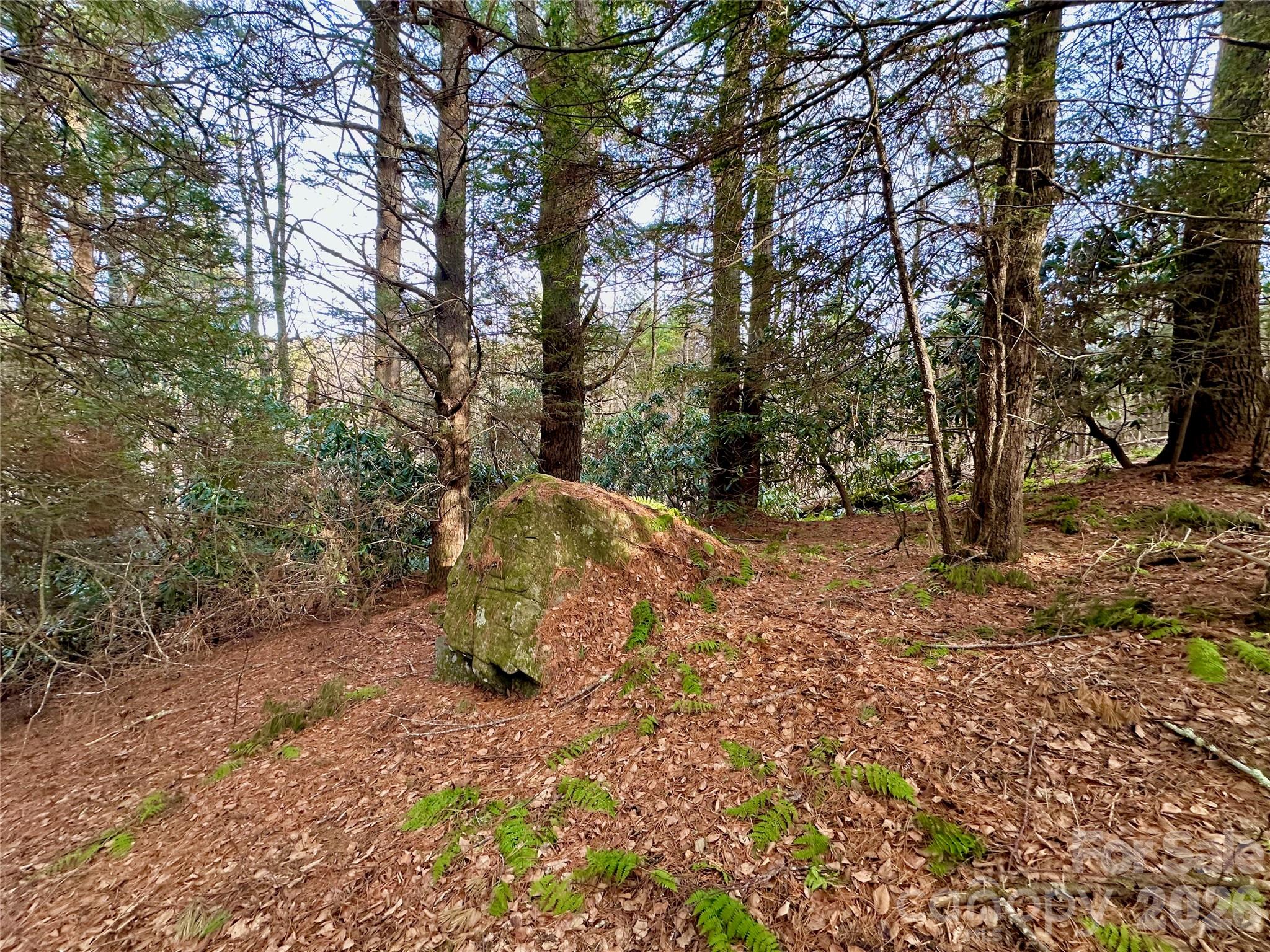 Tbd George Hayes Road Property Photo 26