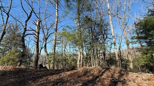 0 Bird Dog Boulevard Property Photo